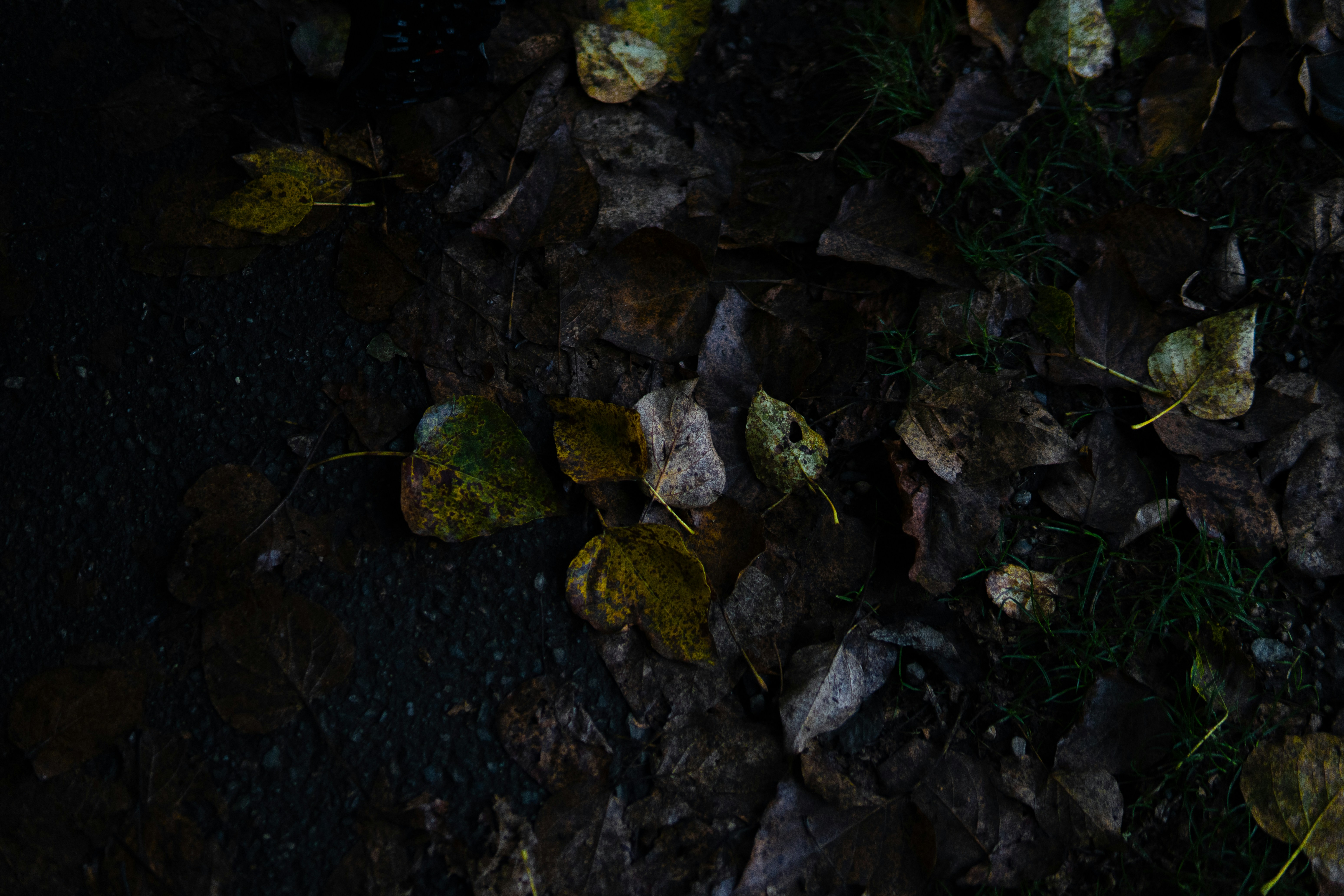 Photo by daniel_akserlod