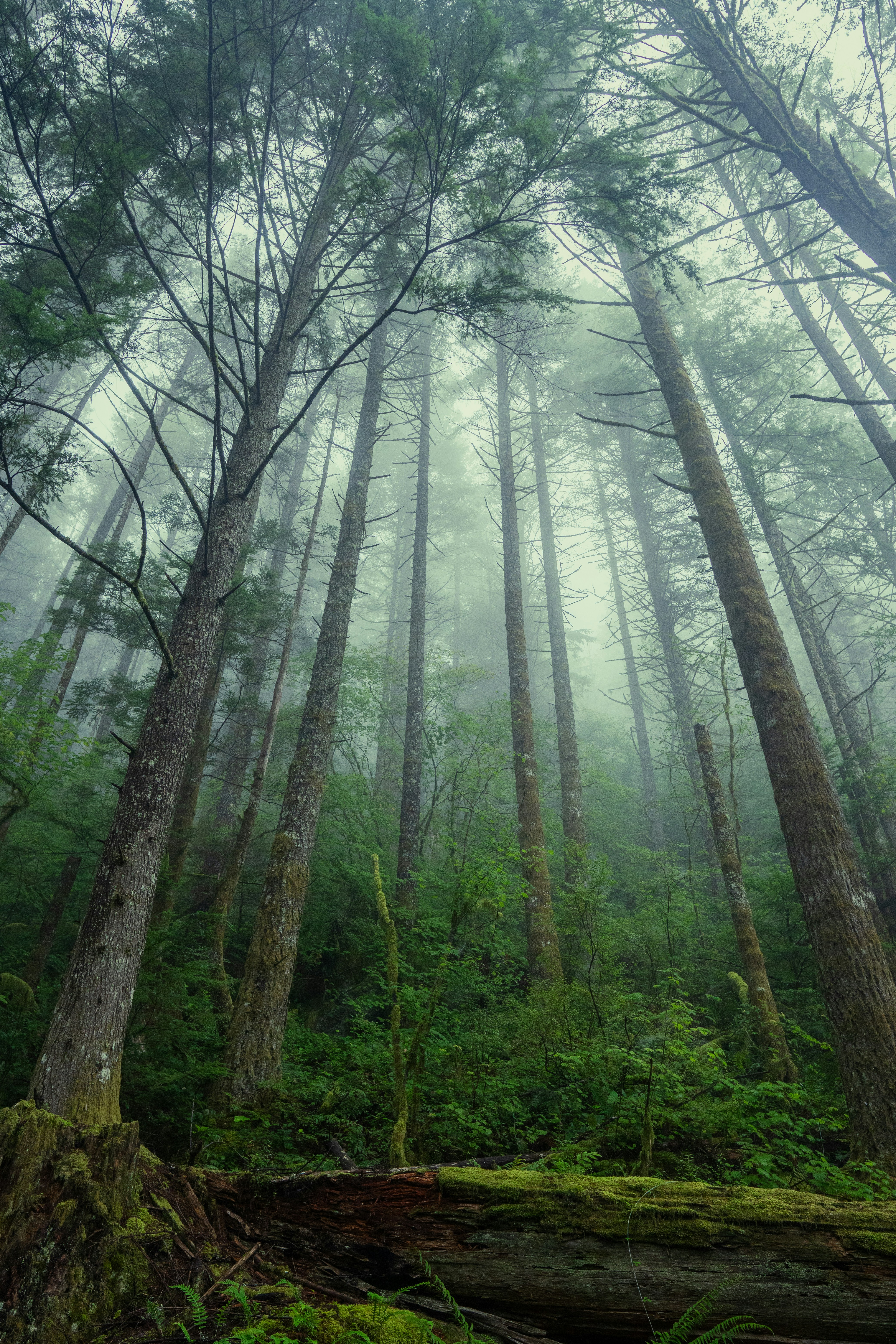 Photo by daniel_akserlod