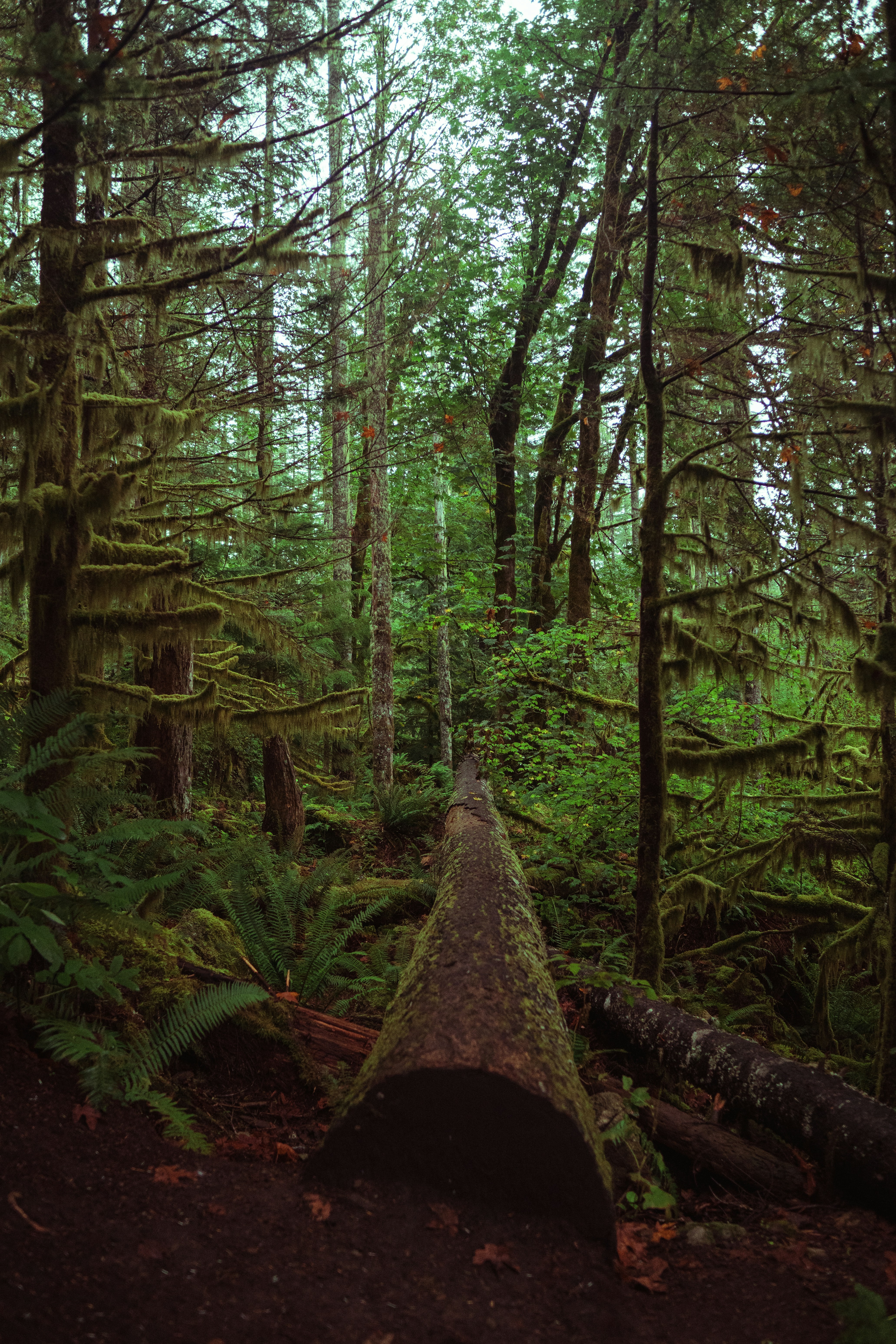 Photo by daniel_akserlod