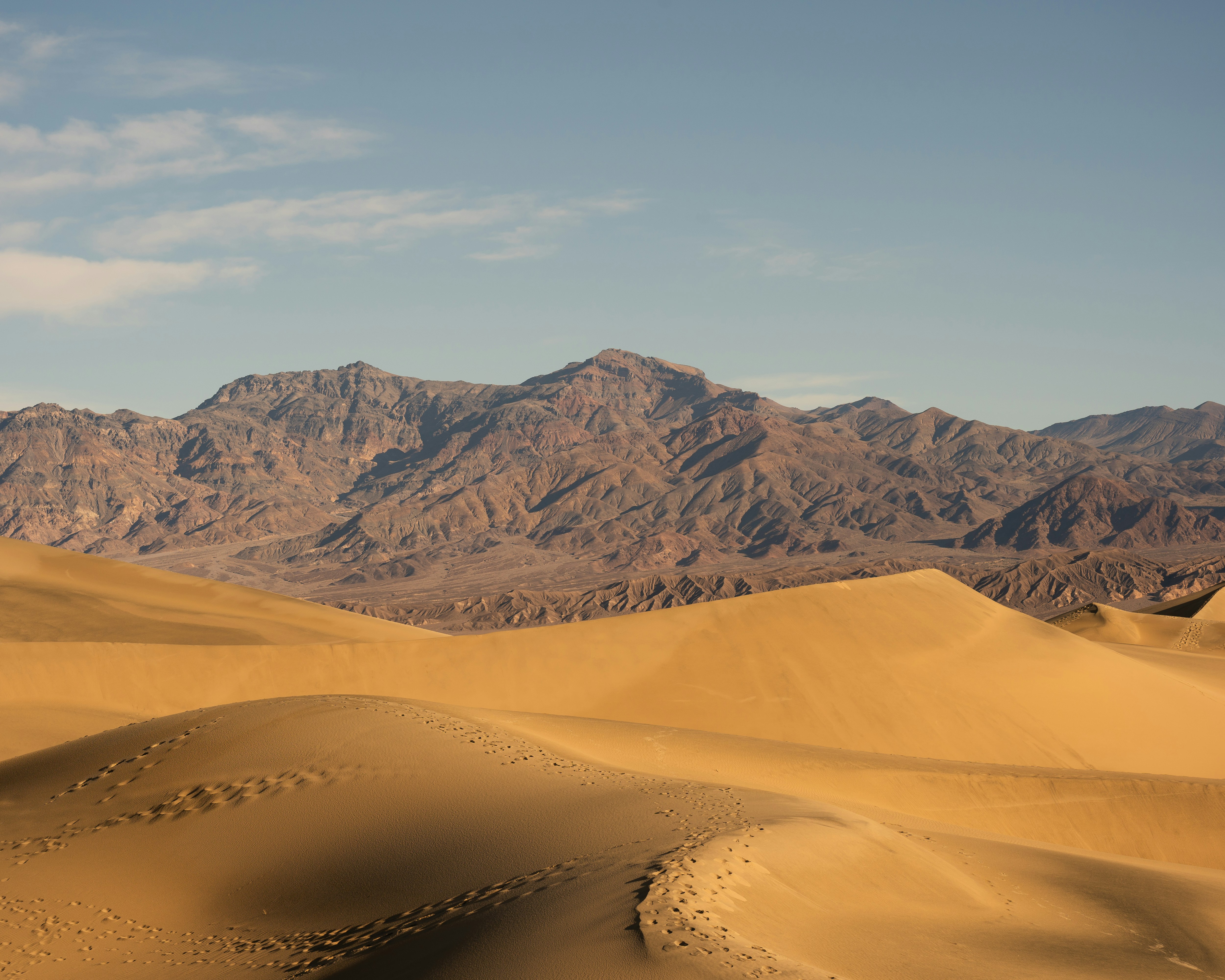 Photo by viveksumanth