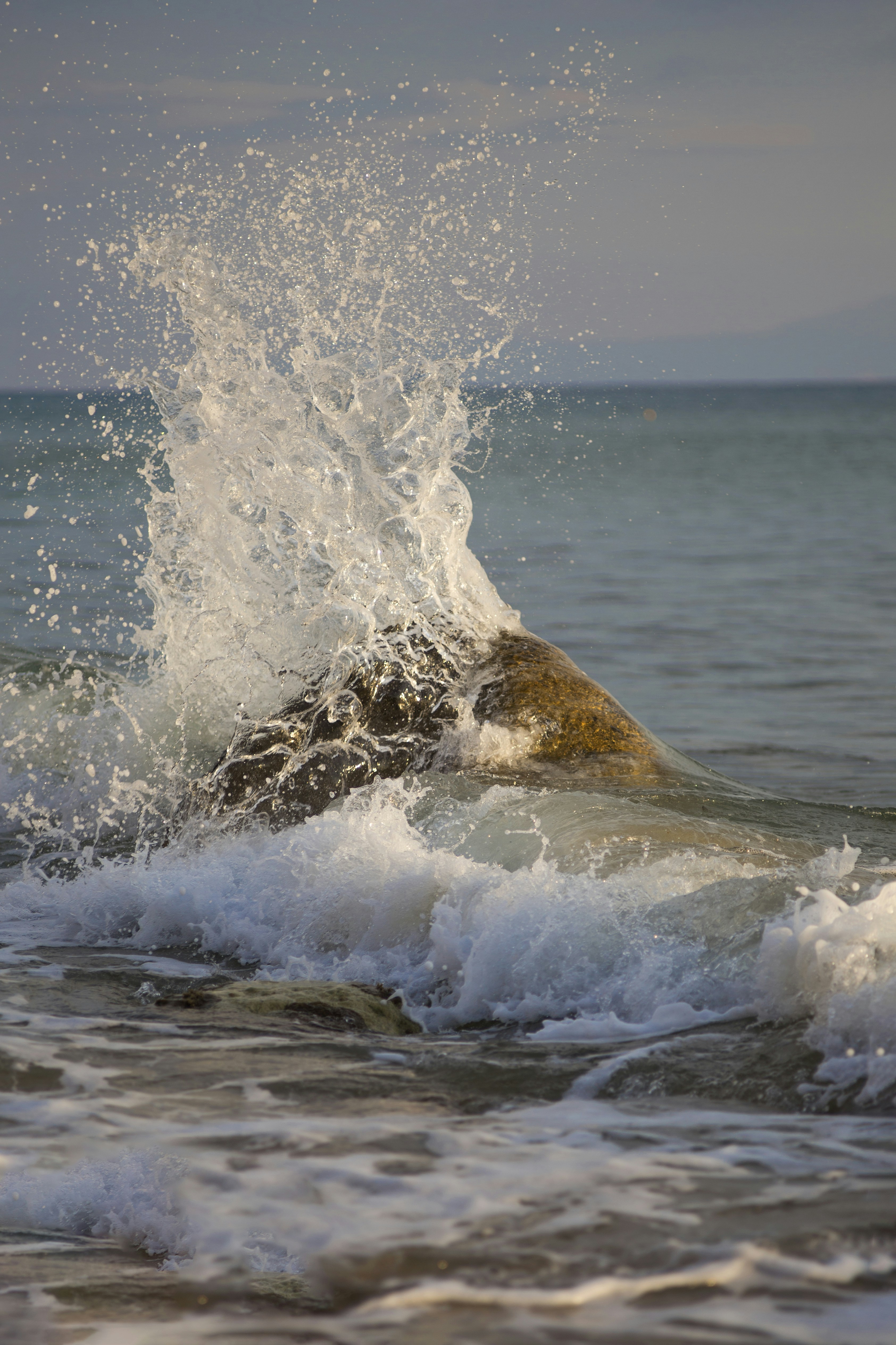 Photo by miloslopusina