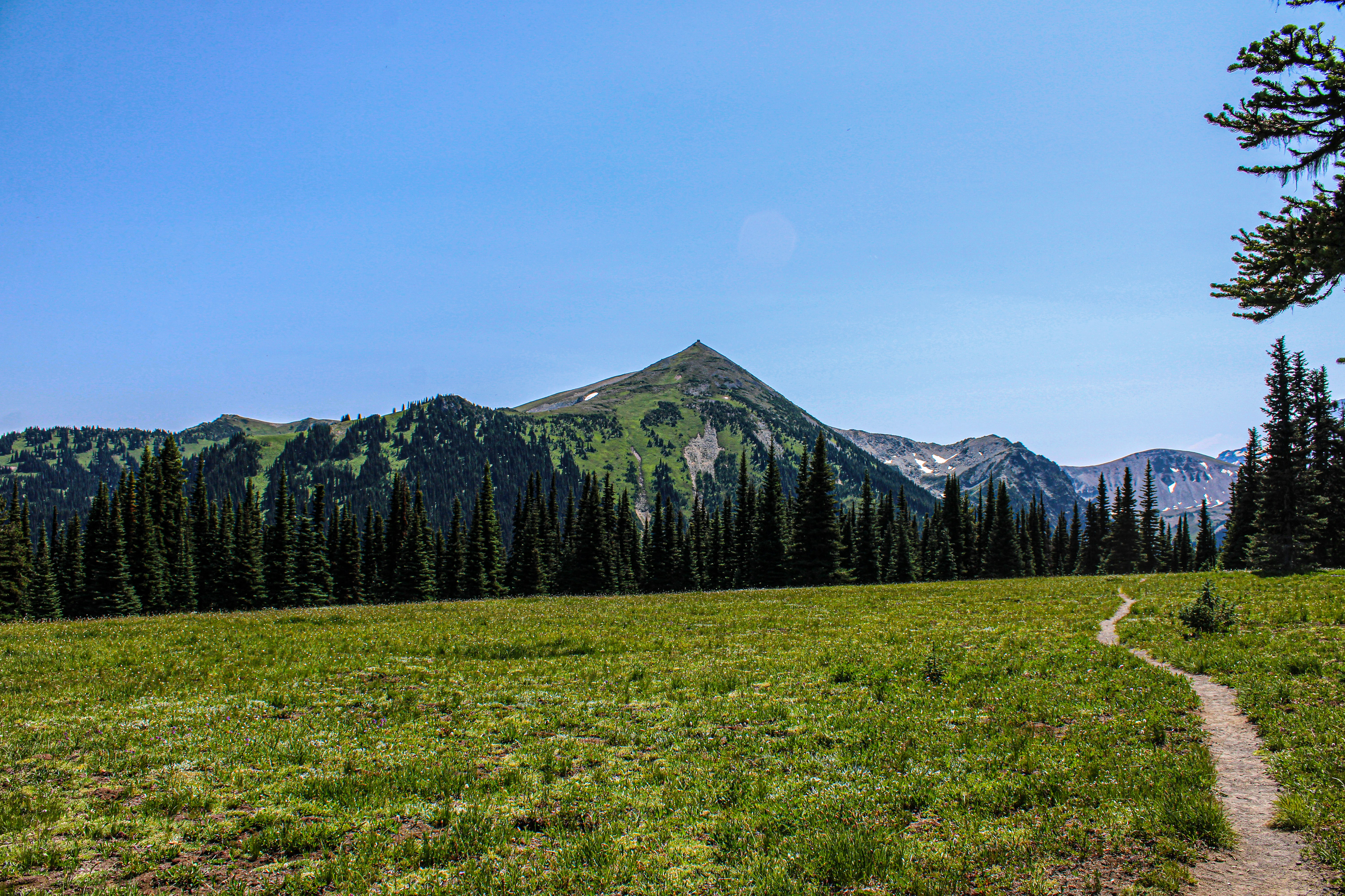 Photo by prphotography262