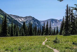 A trail winds through a grassy field with mountains in the background