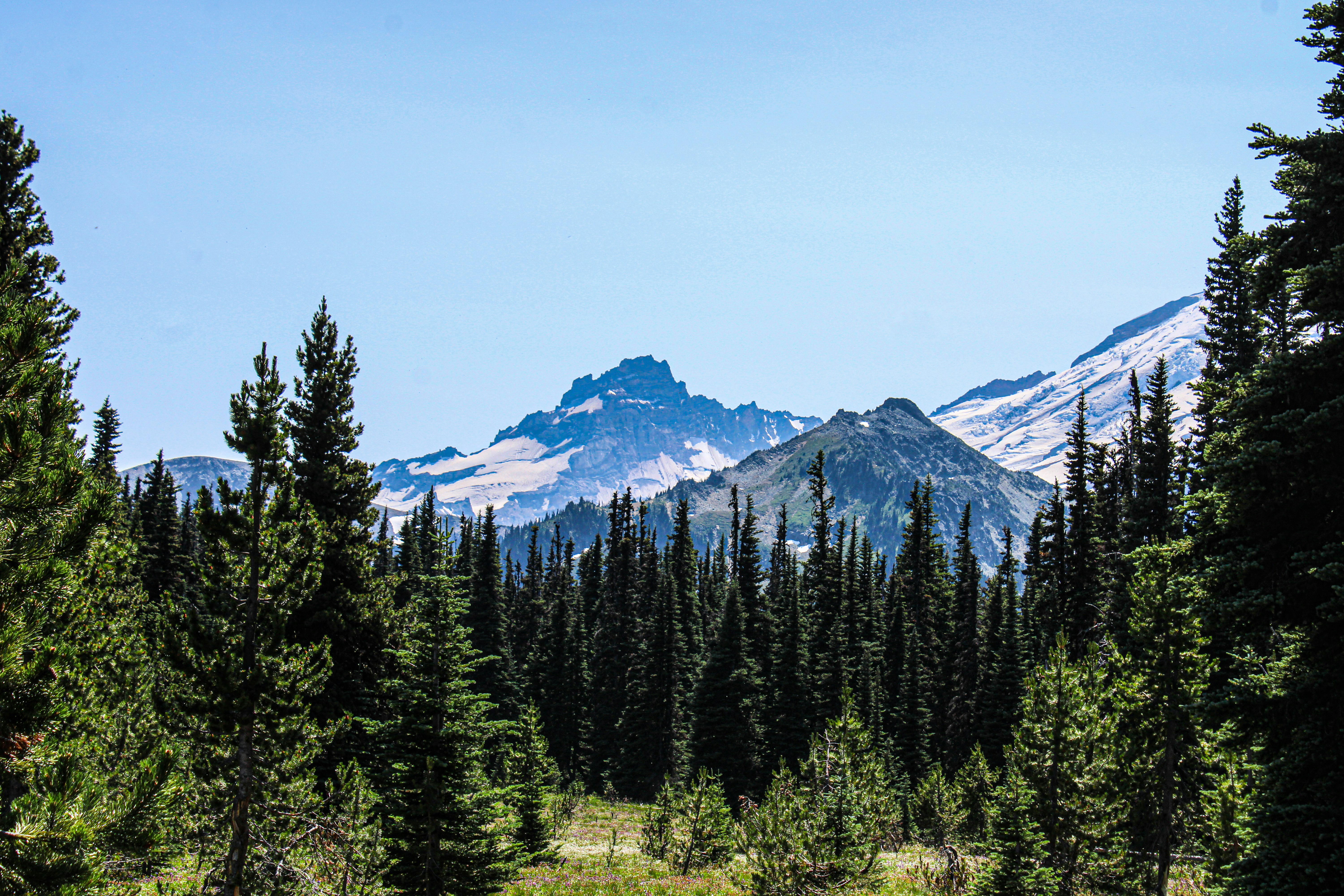 Photo by prphotography262