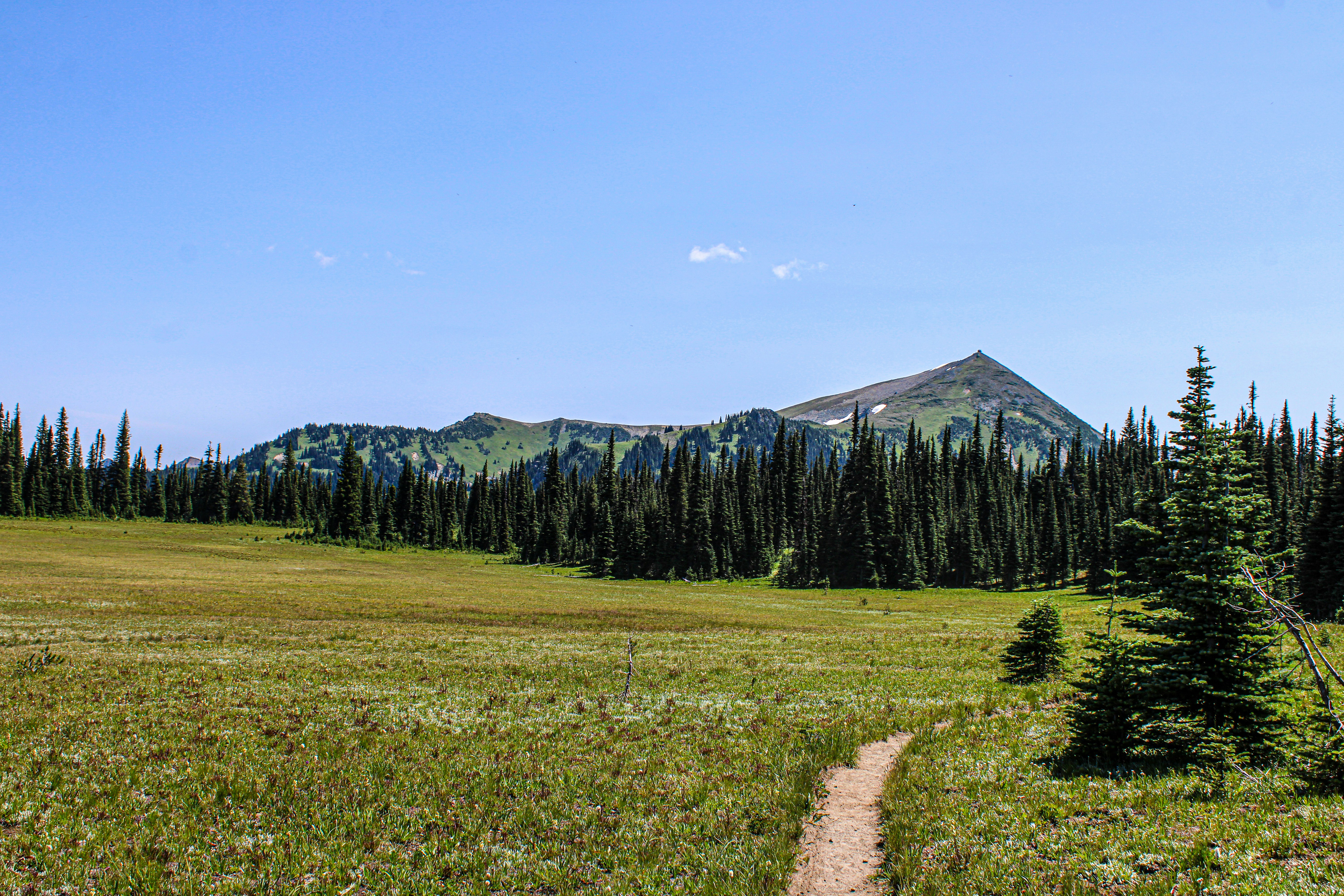 Photo by prphotography262