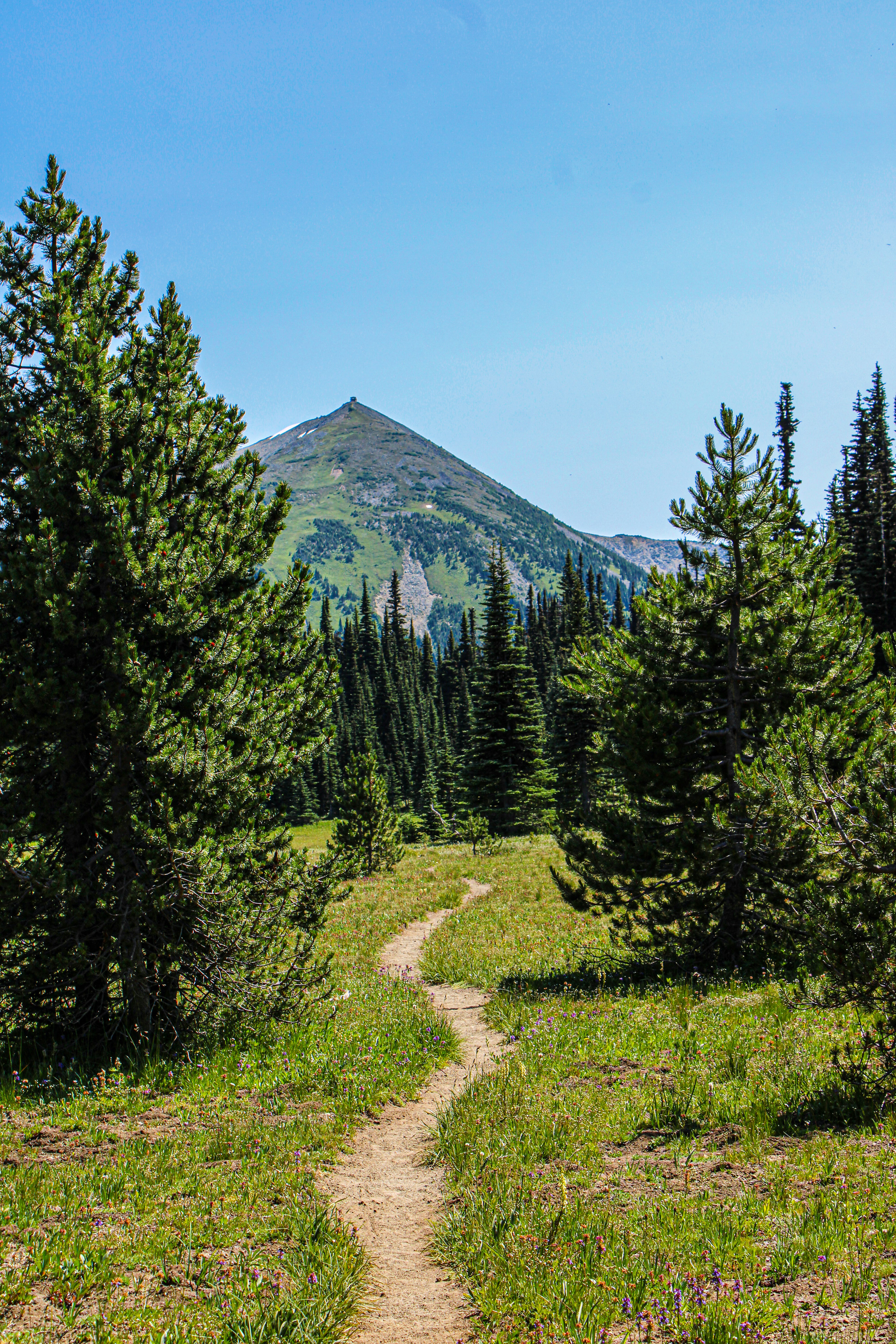 Photo by prphotography262