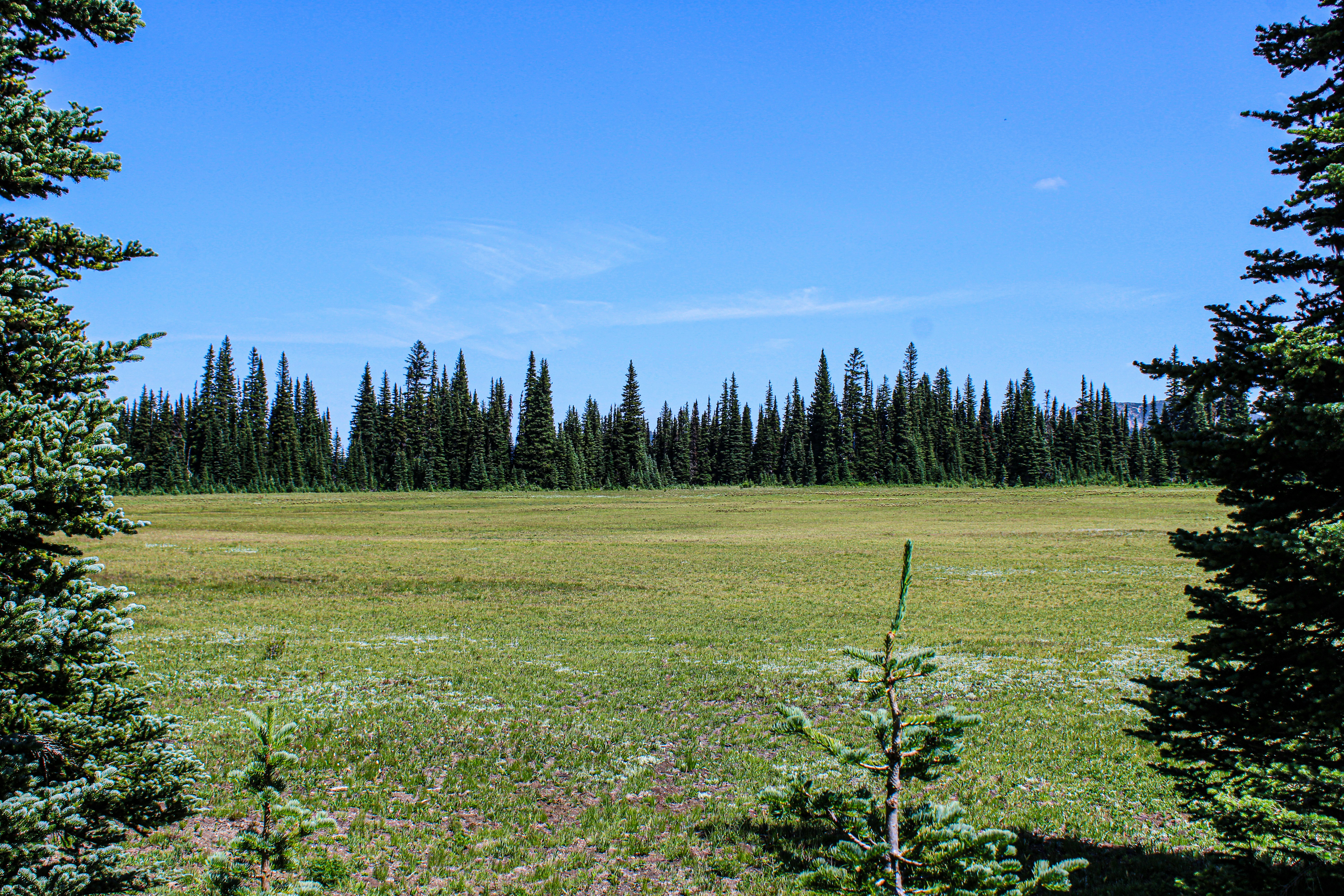 Photo by prphotography262