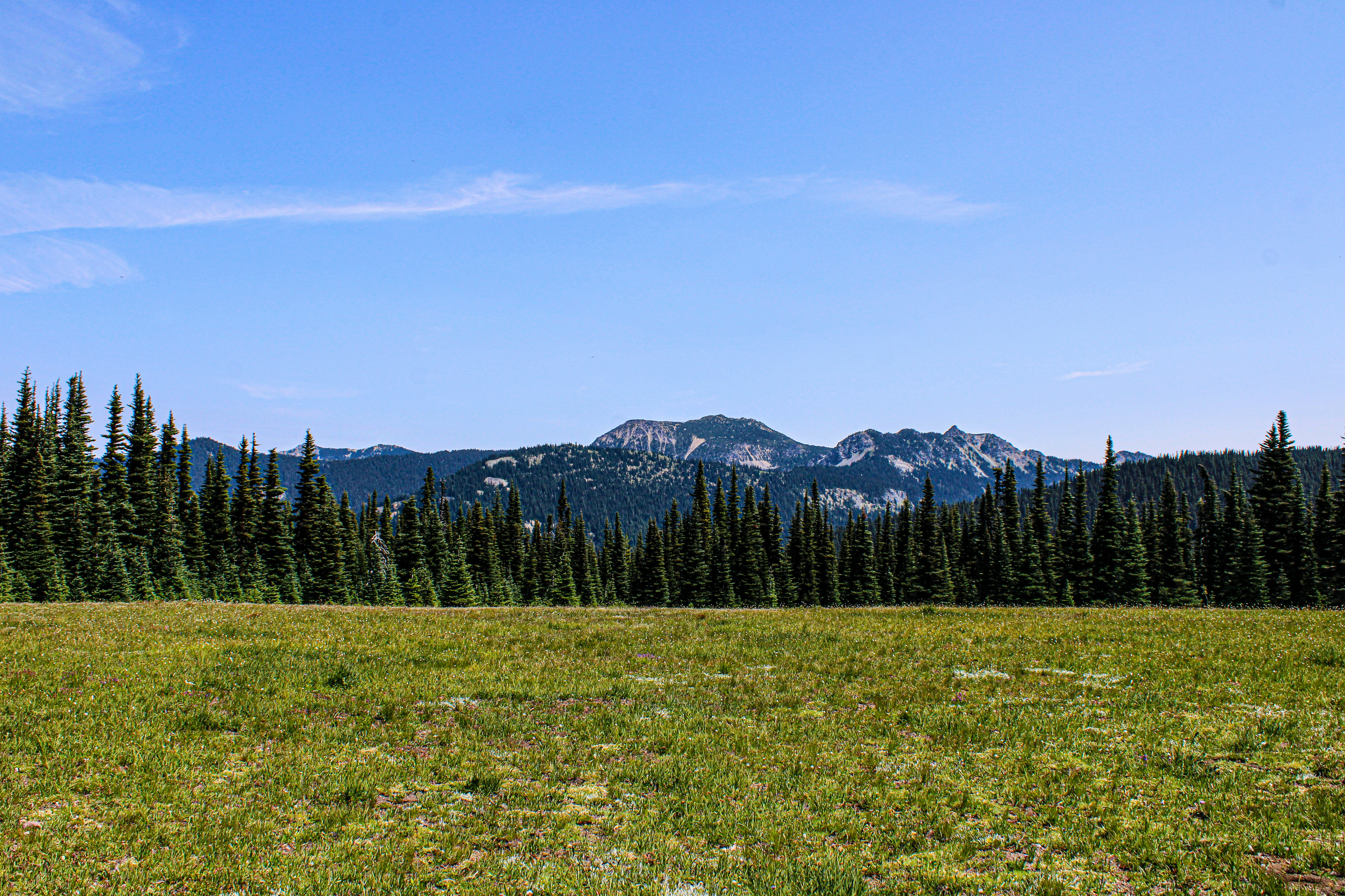 Photo by prphotography262