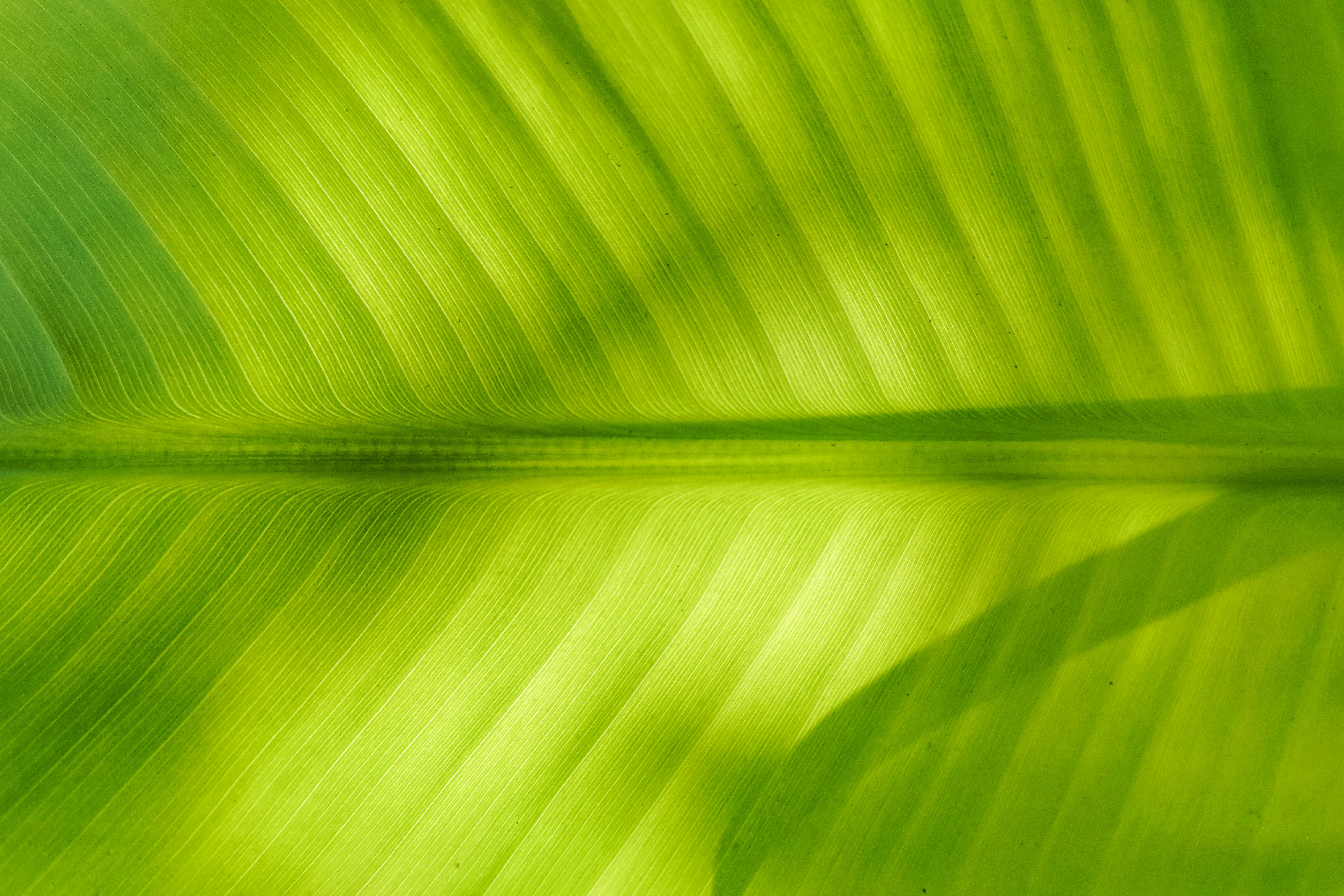 Photo by prithiviraj