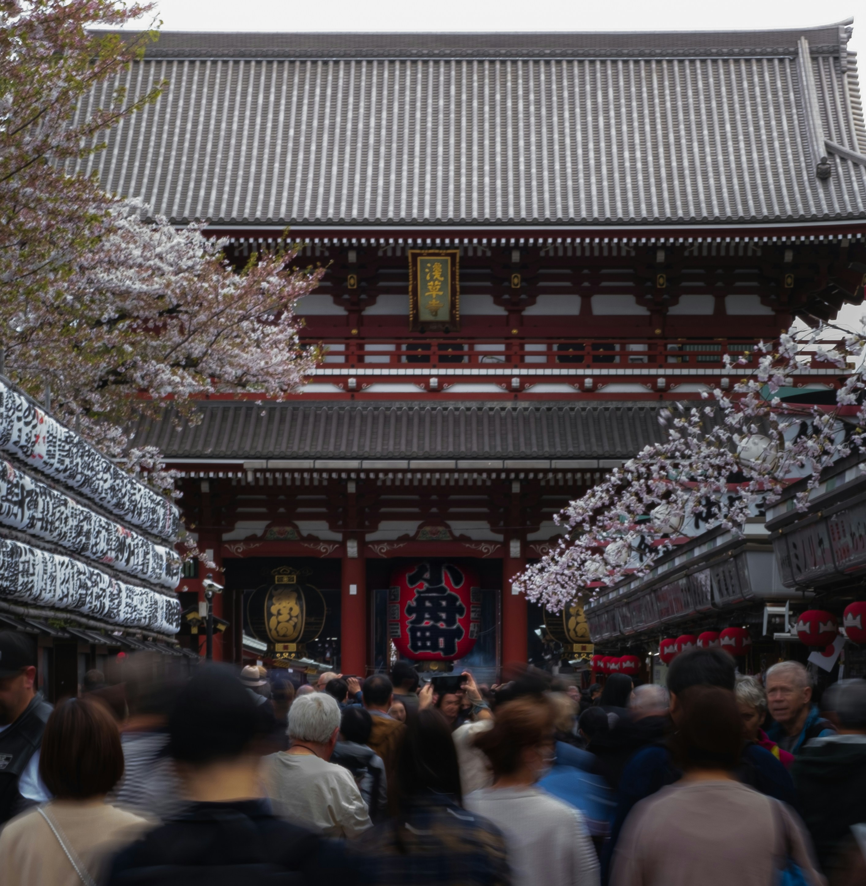 Photo by findviewer92