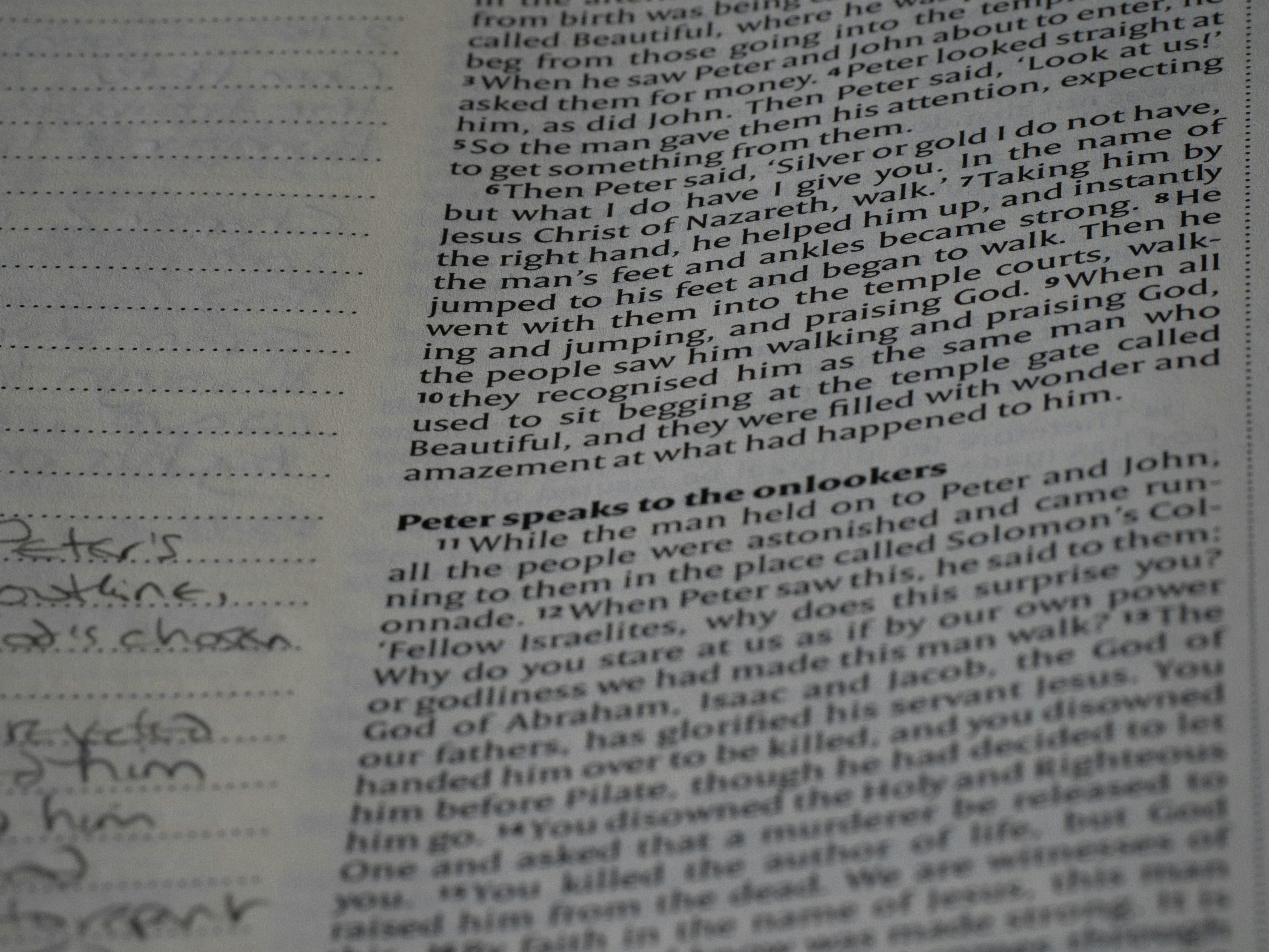 Photo by brett_jordan