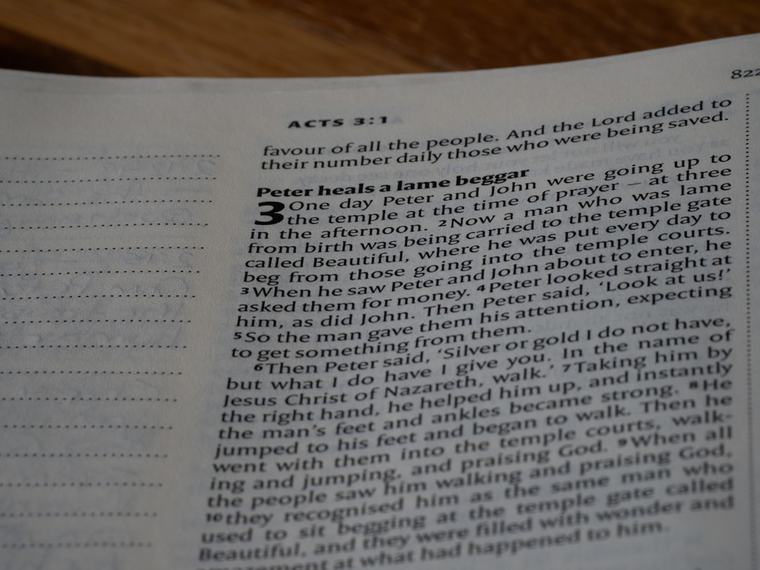 알리익스프레스 8월 할인 총정리