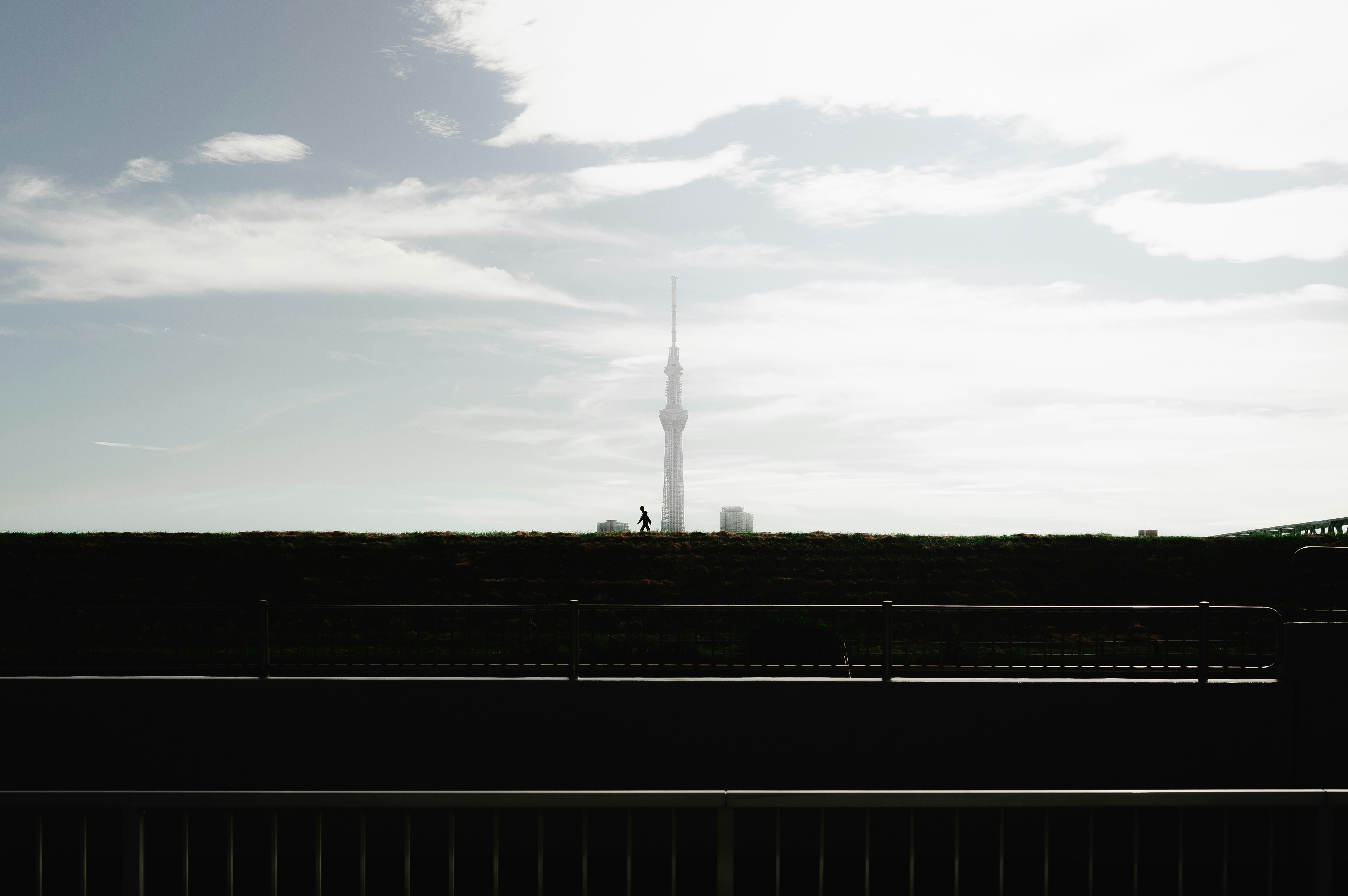 Photo by ryunosuke_kikuno