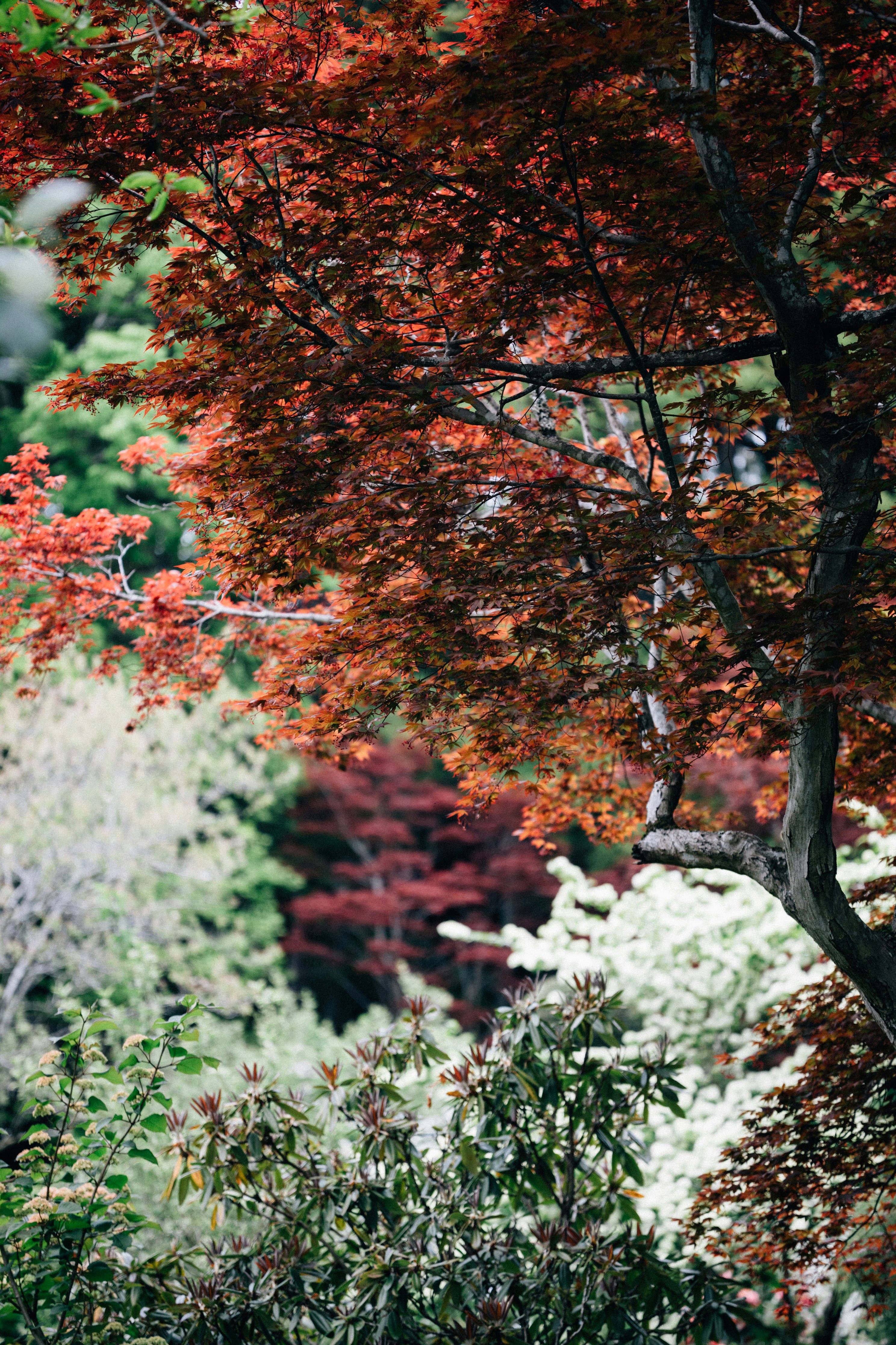 Photo by tsuyoshikozu