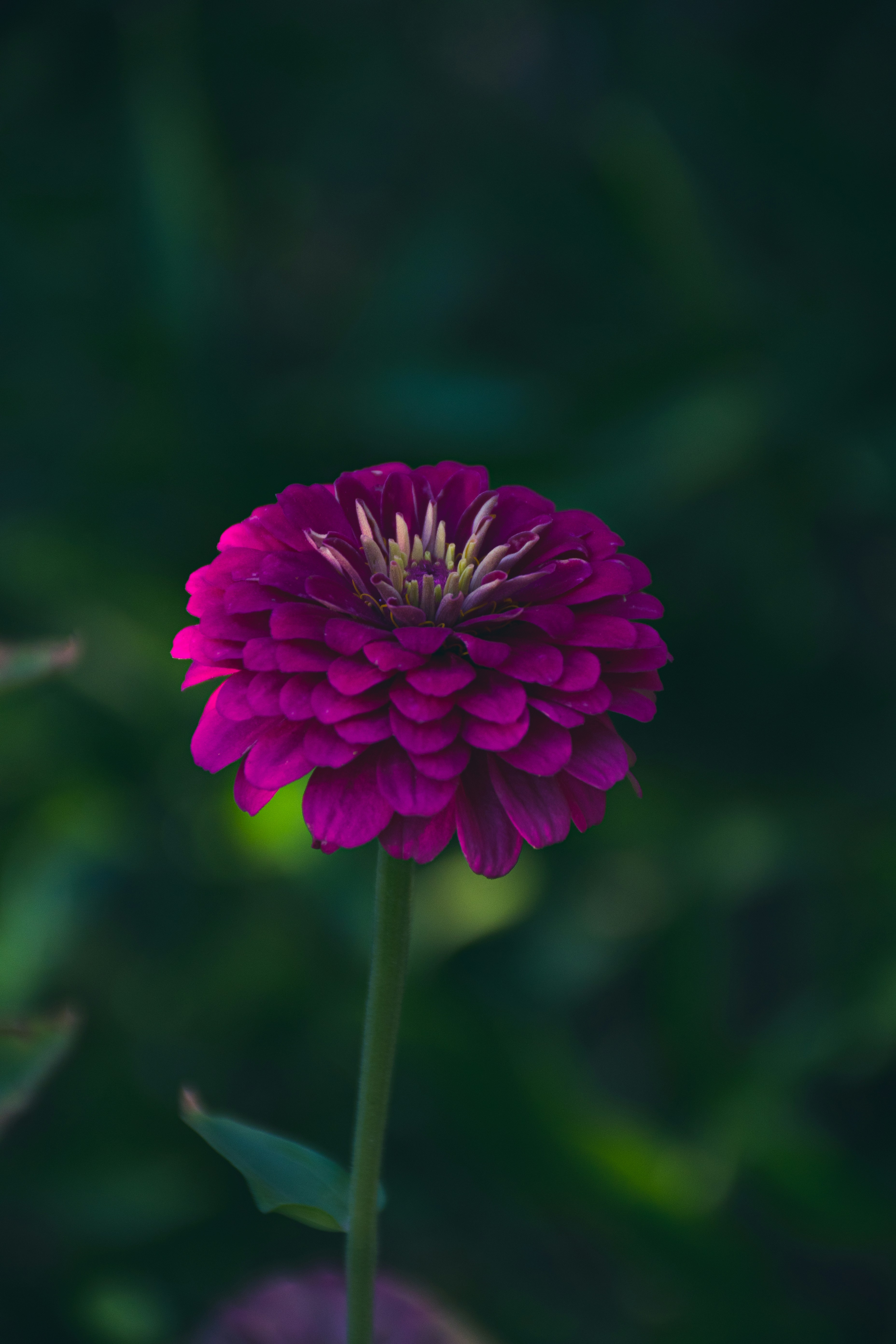 Photo by mmdam20