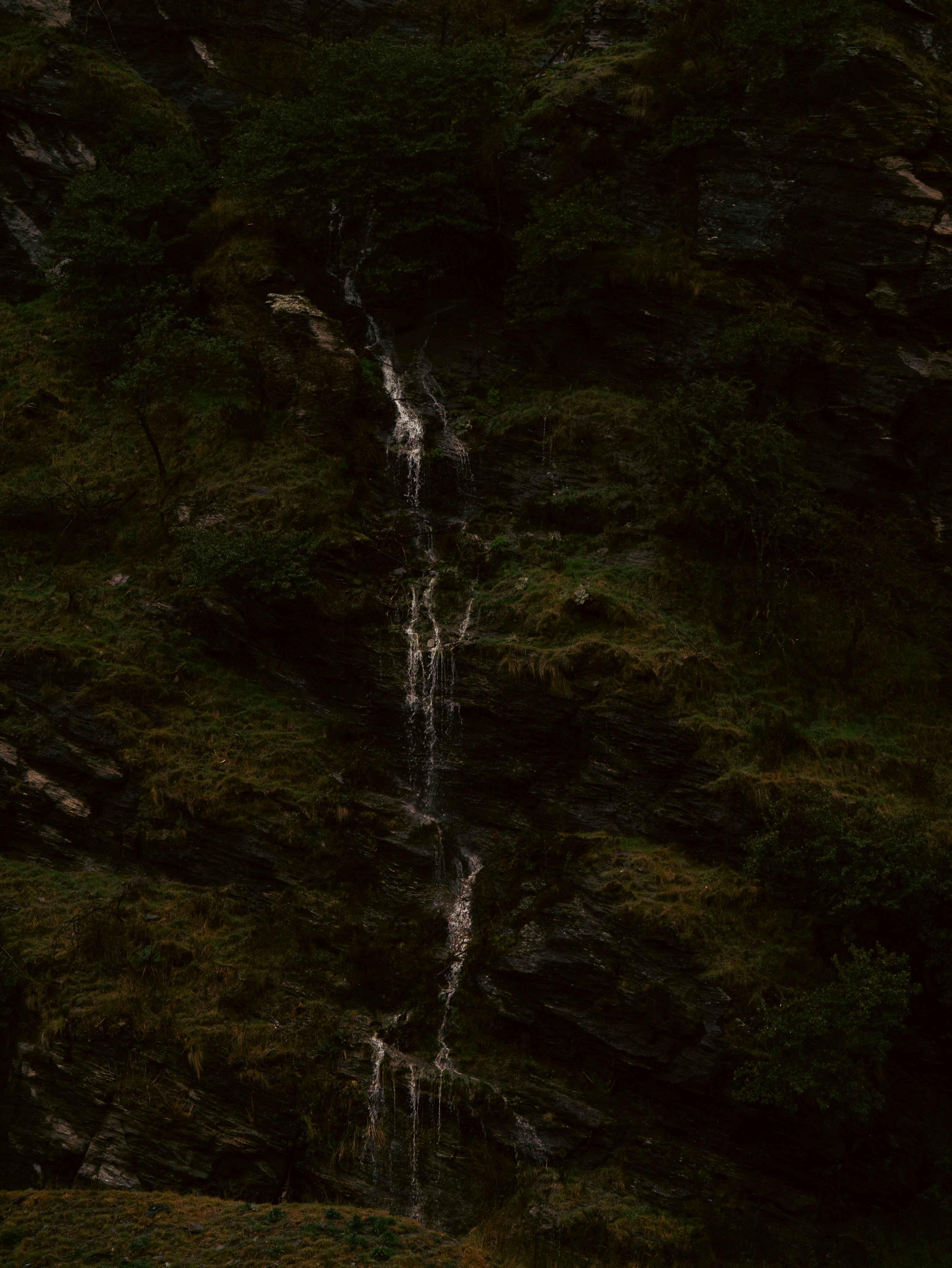 Dark Green Aesthetic Pictures | Download Free Images on Unsplash