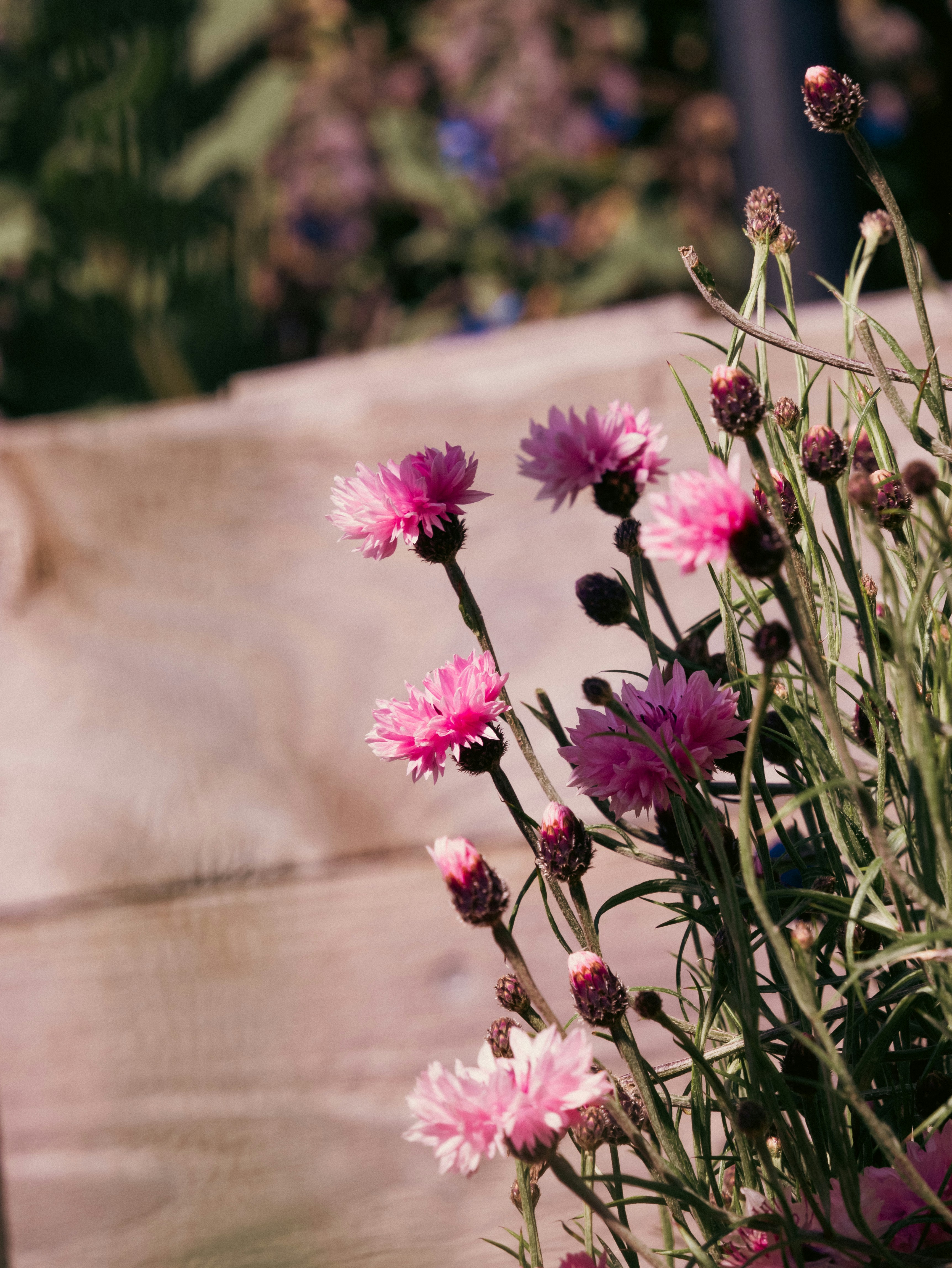 Containers in Magnolia, AL