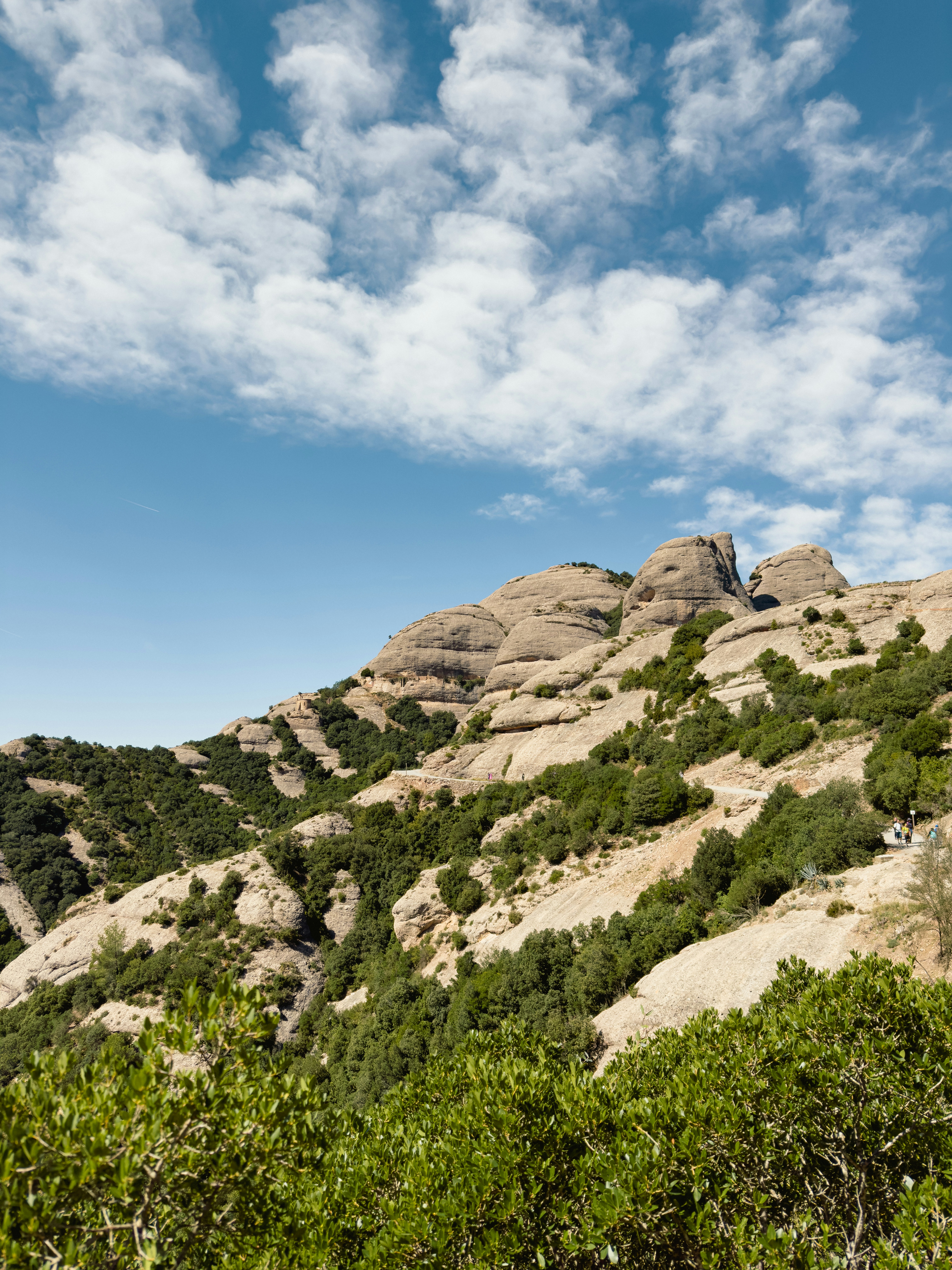 Photo by nateh0lland