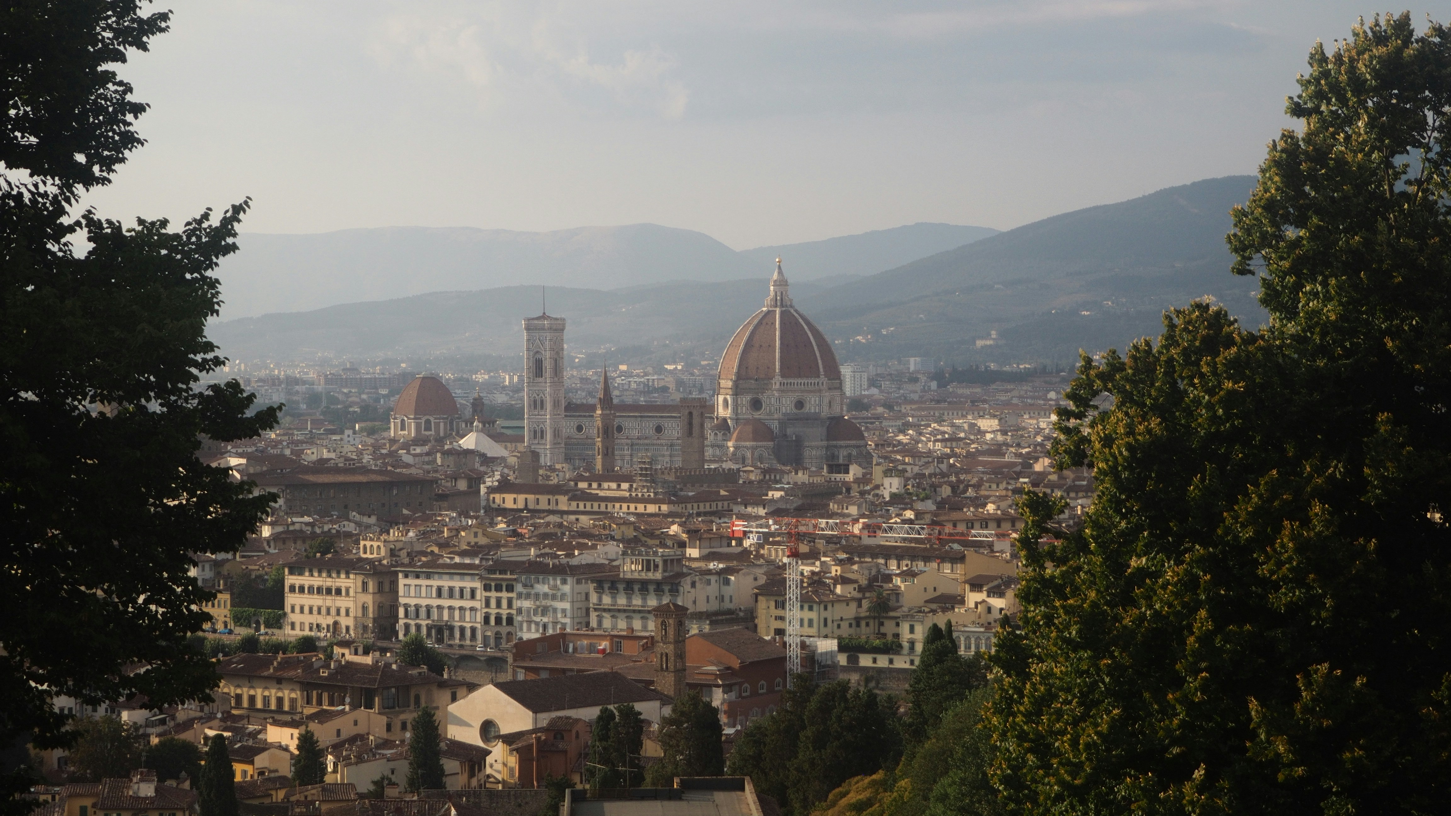 A view of a city from a hill