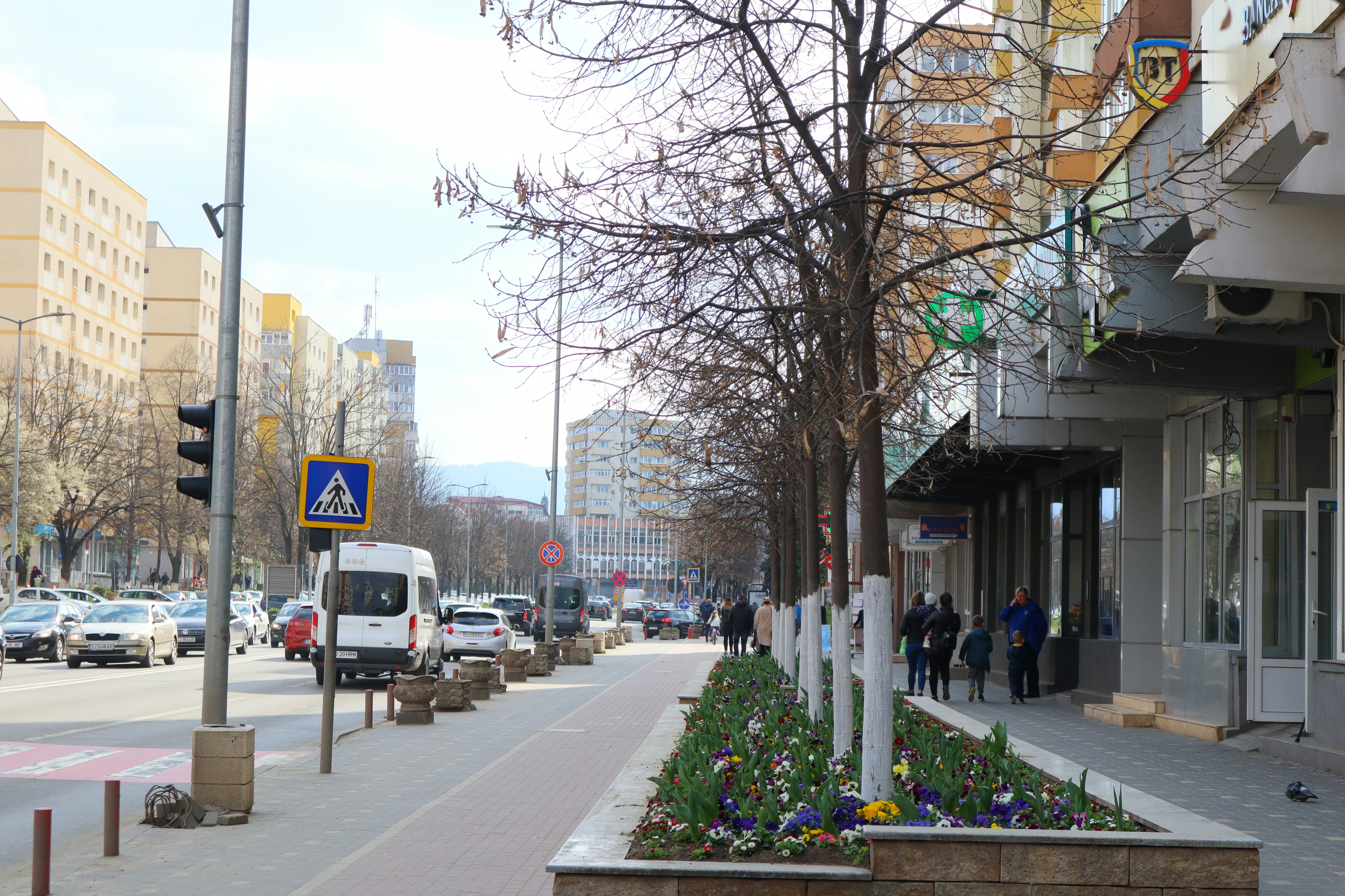 Photo by zoltanbiro1988