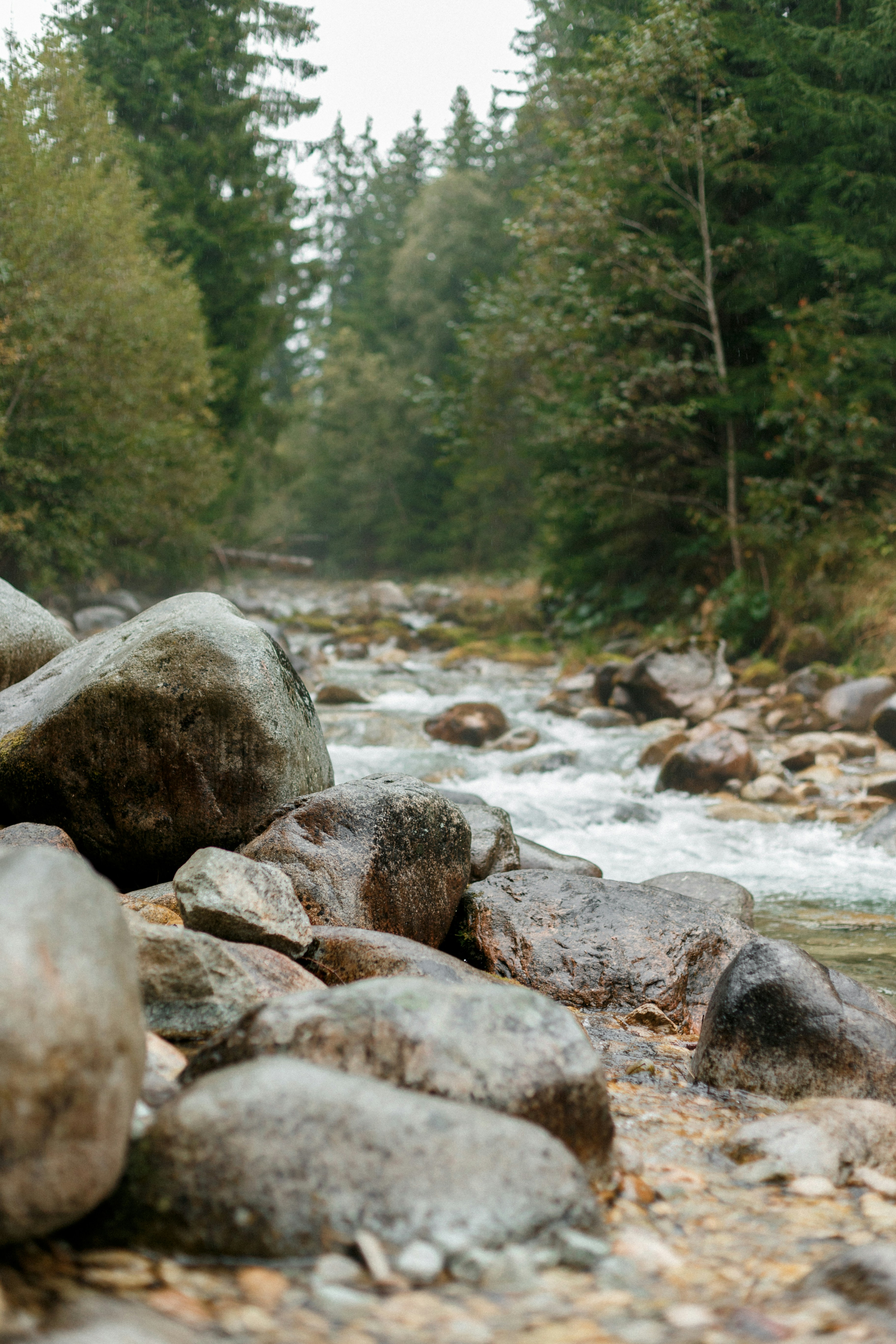 Photo by raymondpetrik