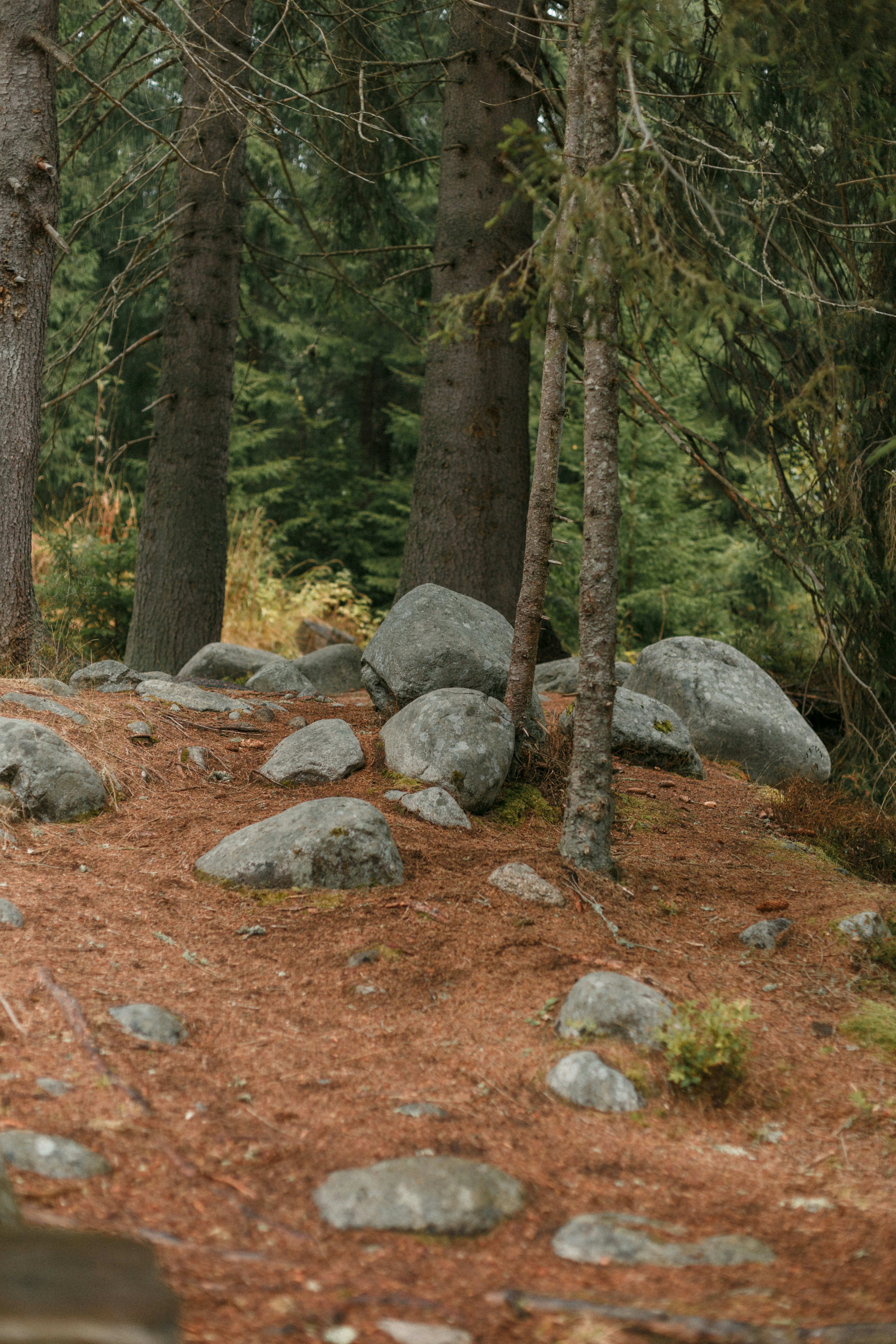 Photo by raymondpetrik