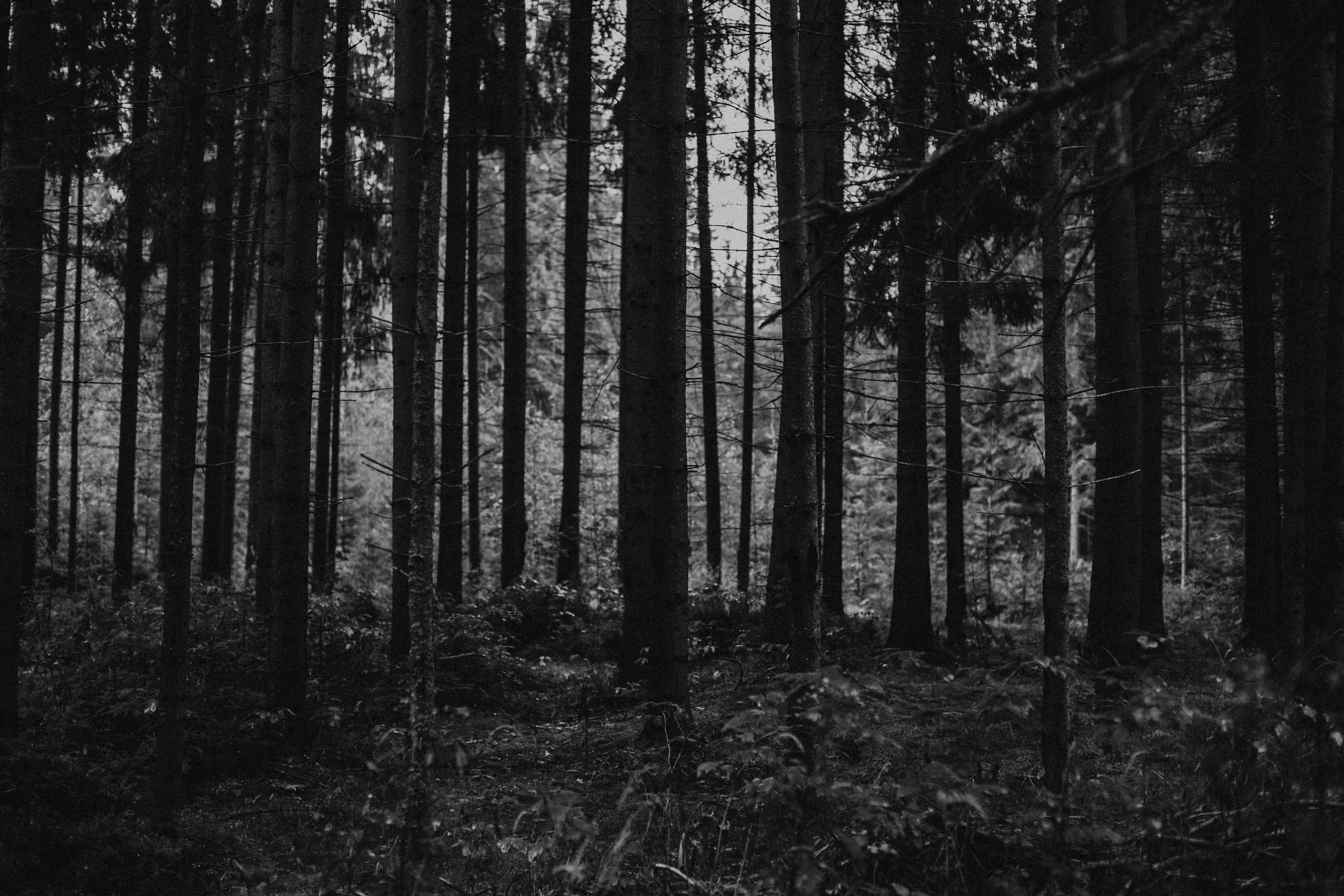 Photo by raymondpetrik