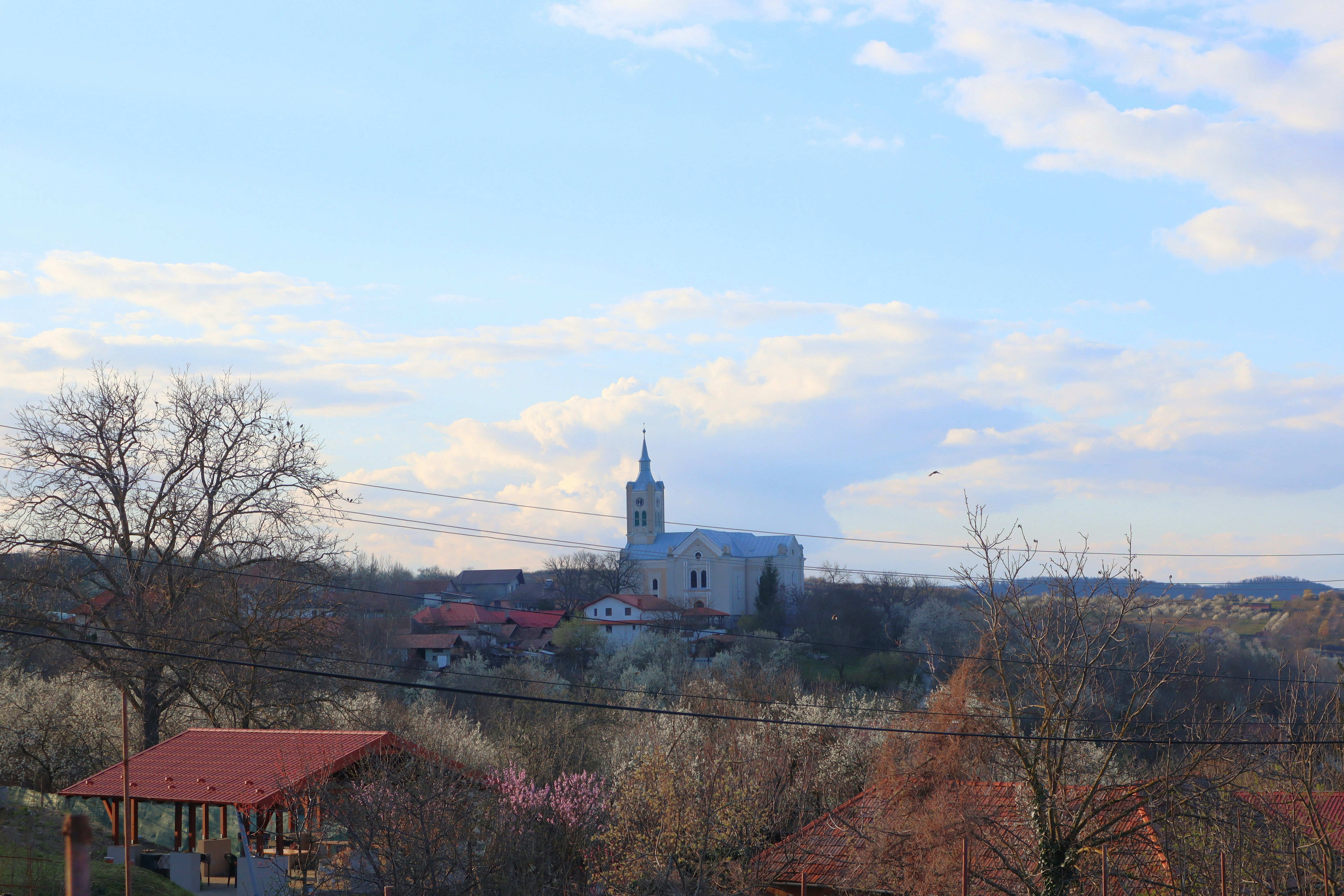 Photo by zoltanbiro1988