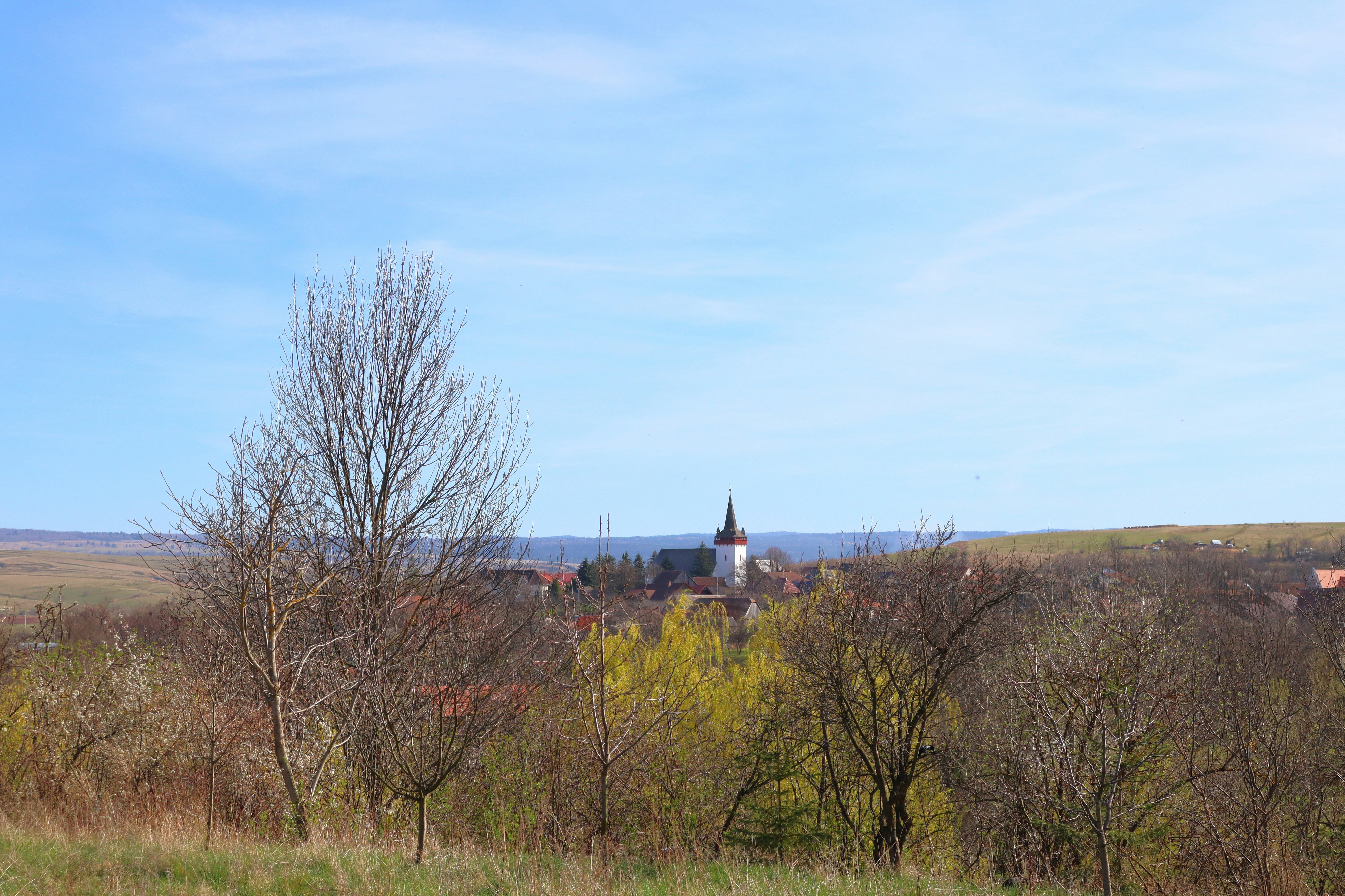 Photo by zoltanbiro1988