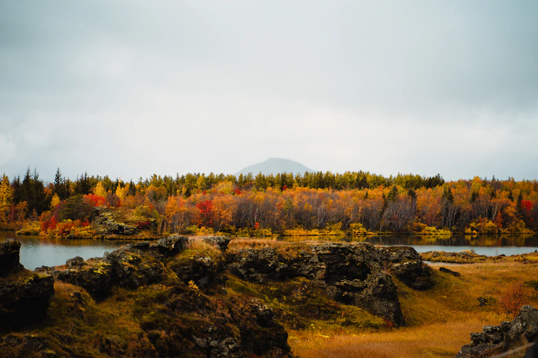 15-Day Canada & USA Budget Autumn Itinerary
