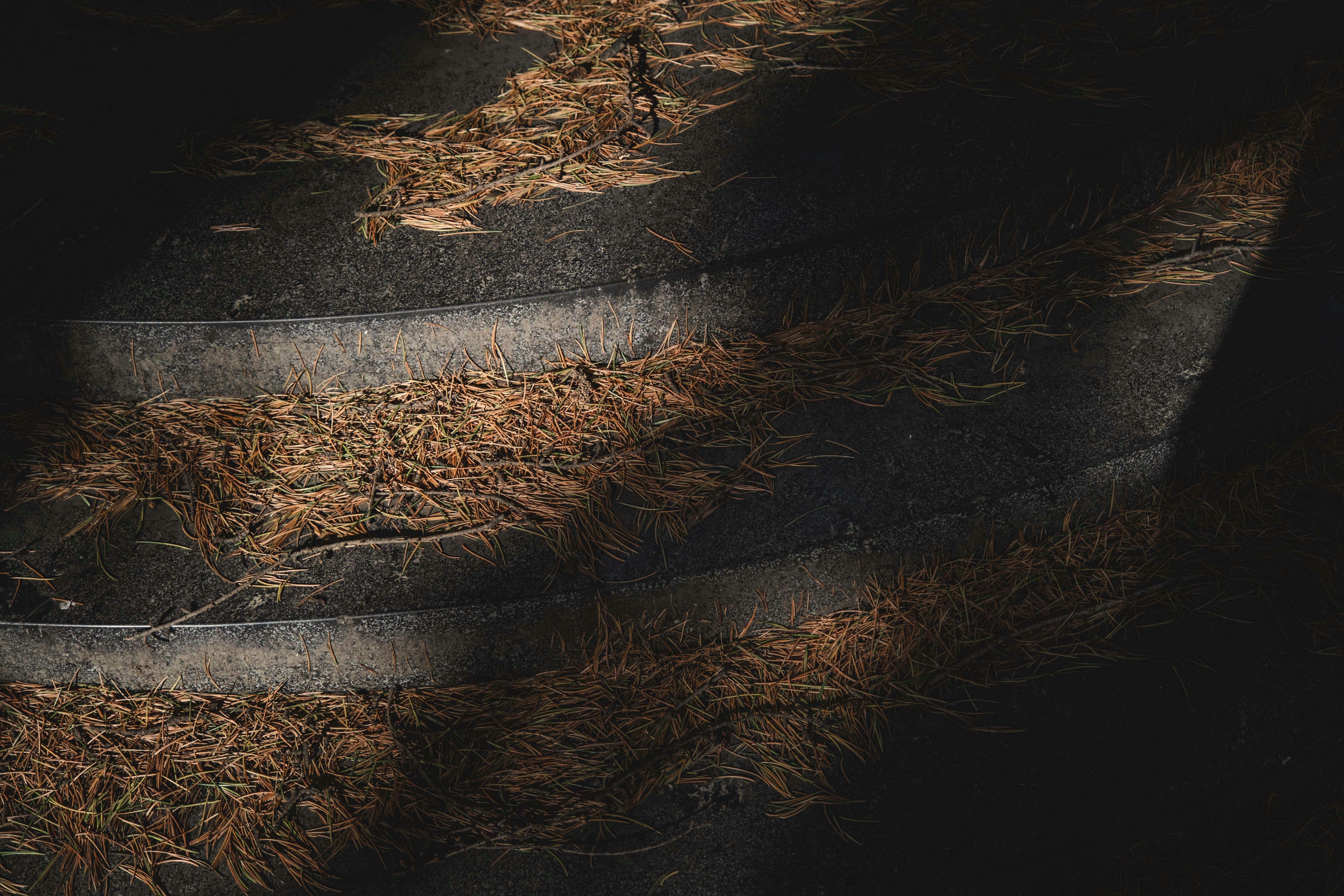 Photo by francesco_ungaro