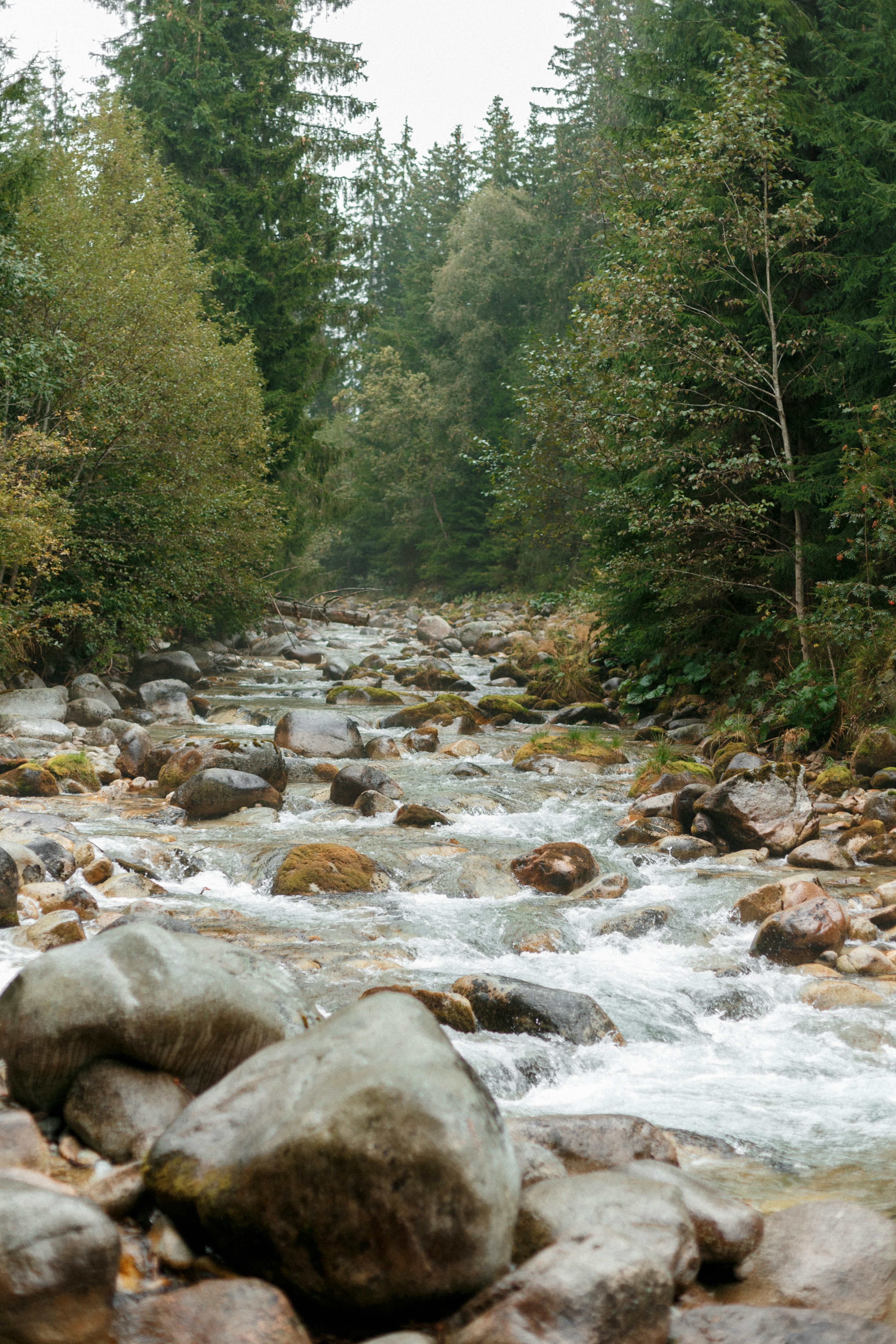 Photo by raymondpetrik