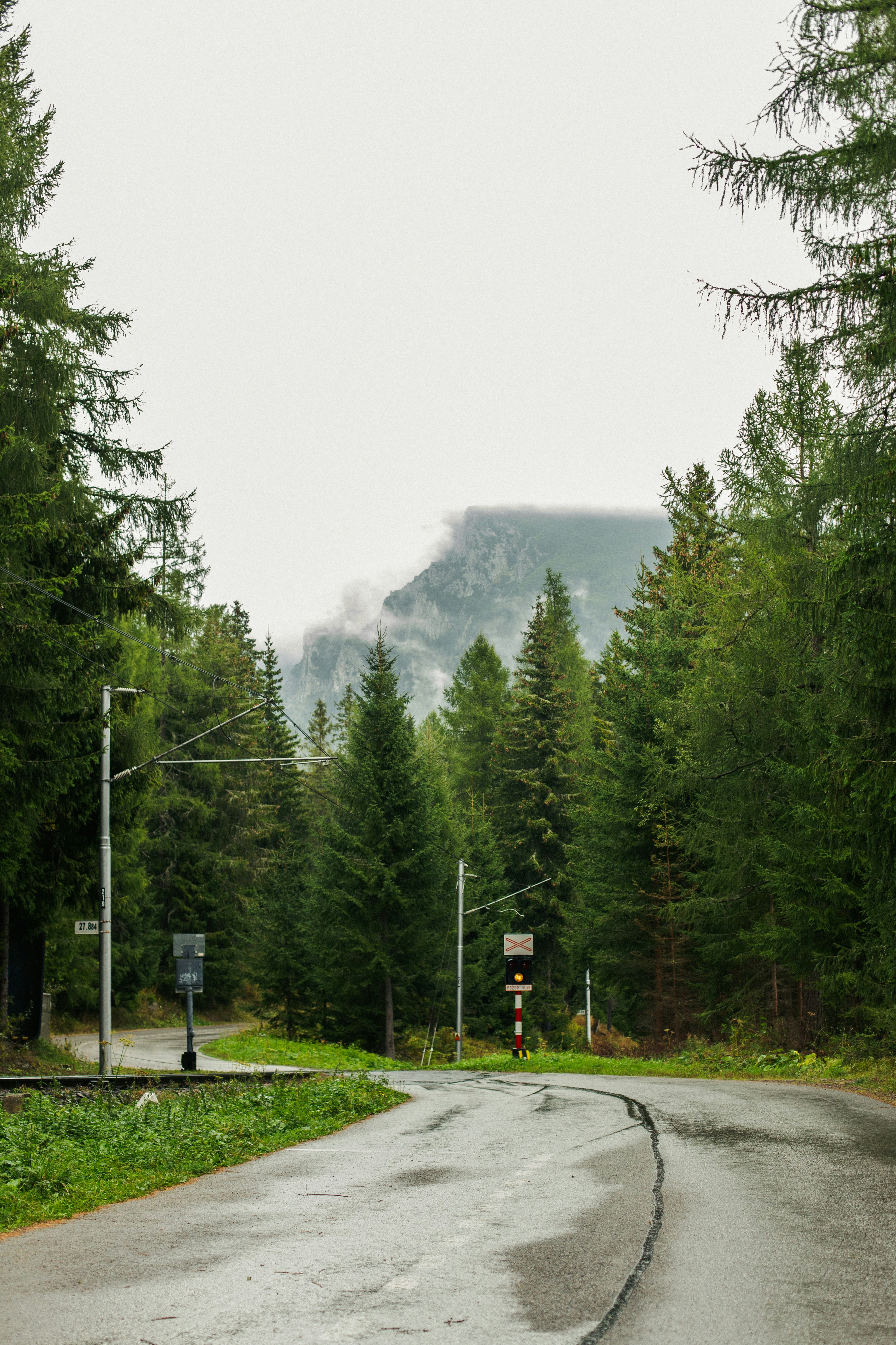 Cognitive Offloading: When External Tools Become Part of Your Mind