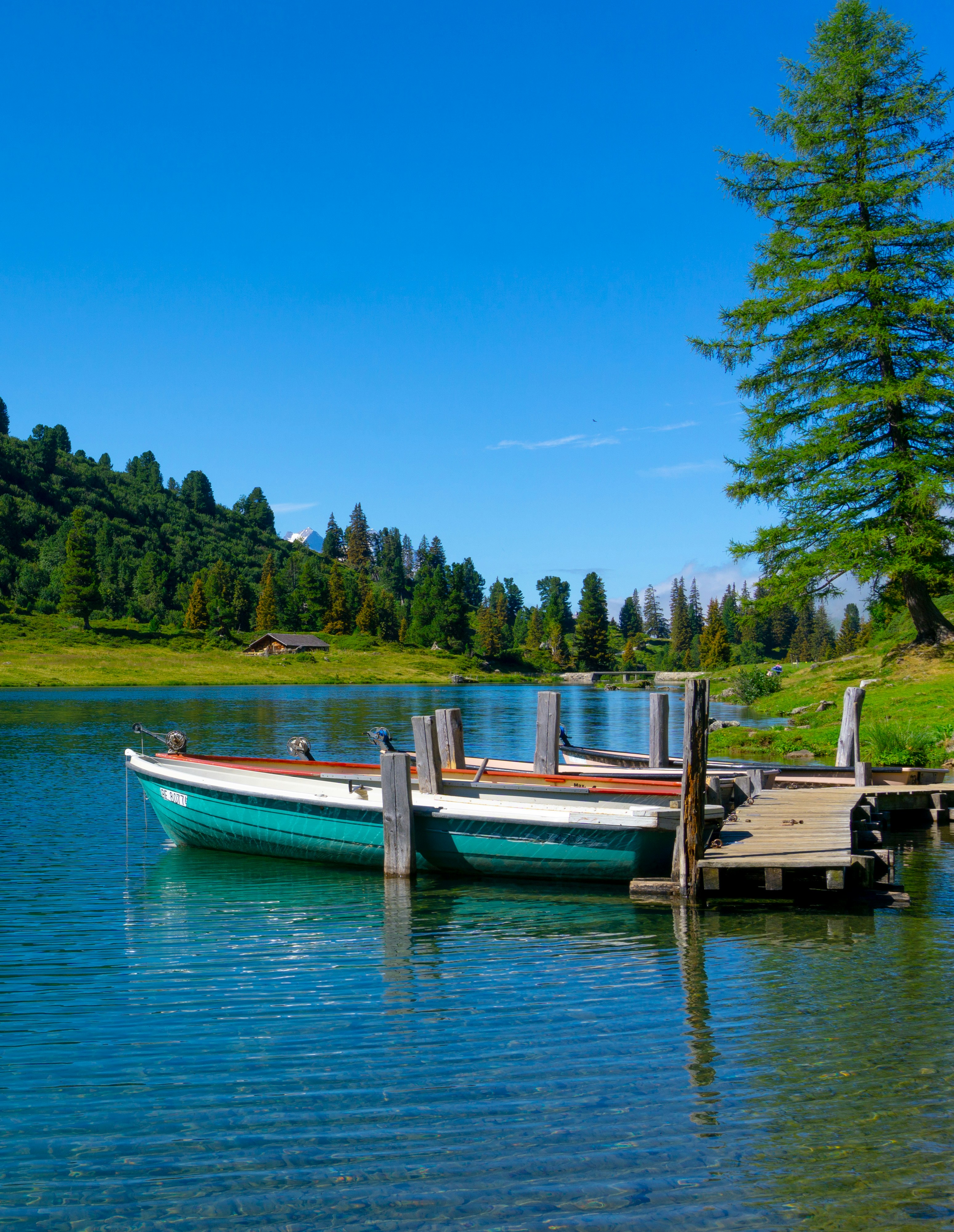 Hope for MS: New Cell Treatments Could Repair Nerve Damage