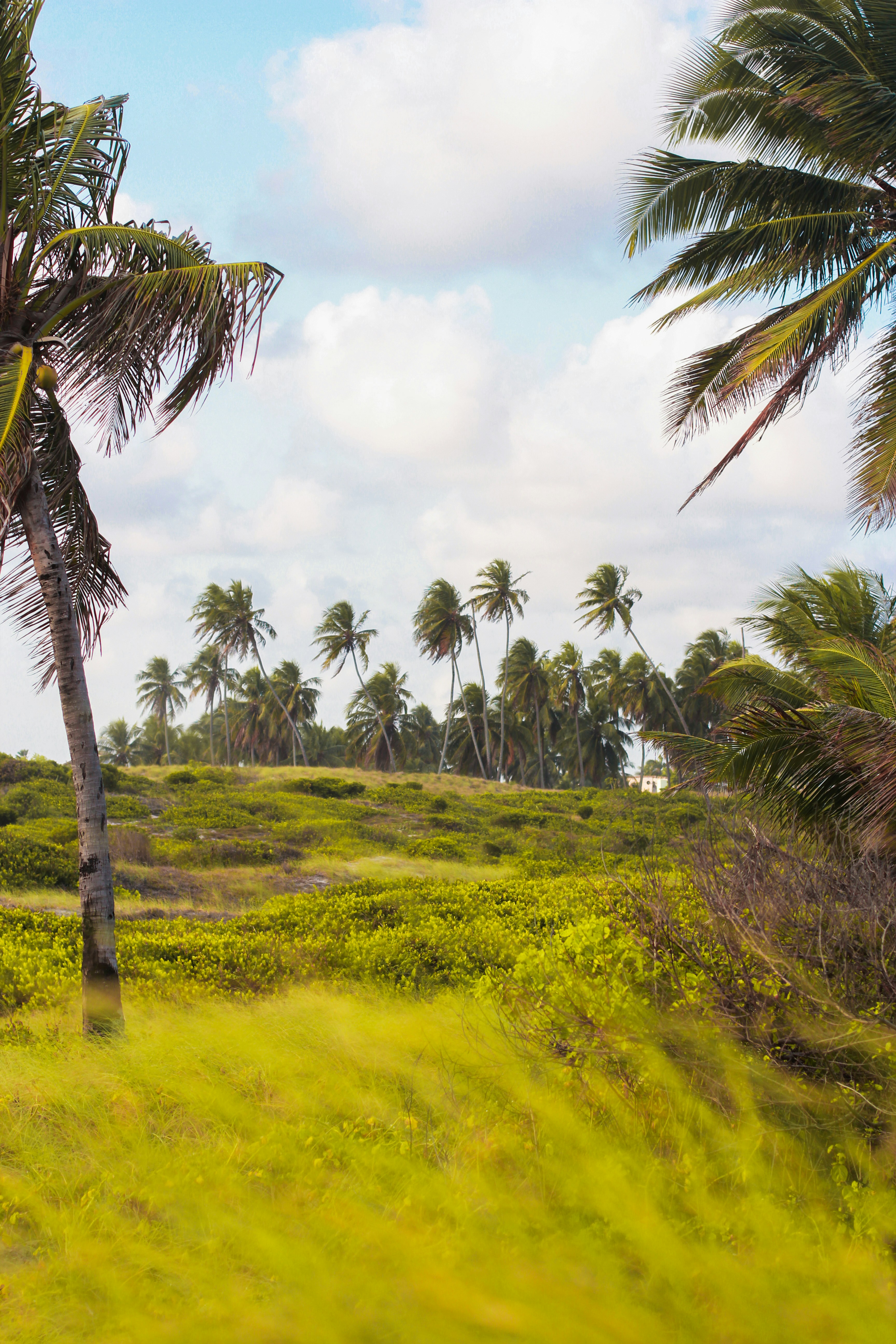 Photo by andremagalhaes