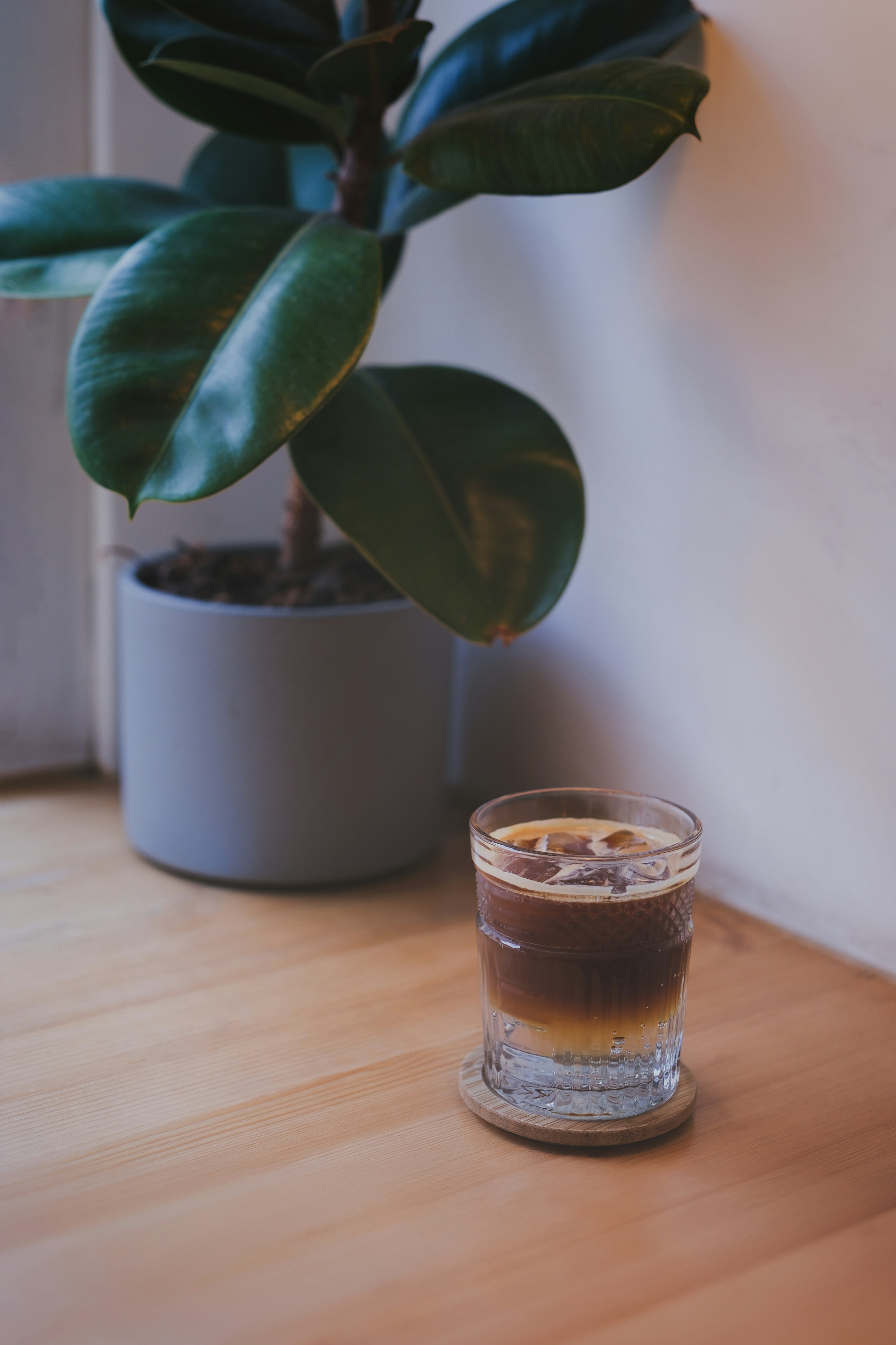 Photo by yulialisitsa