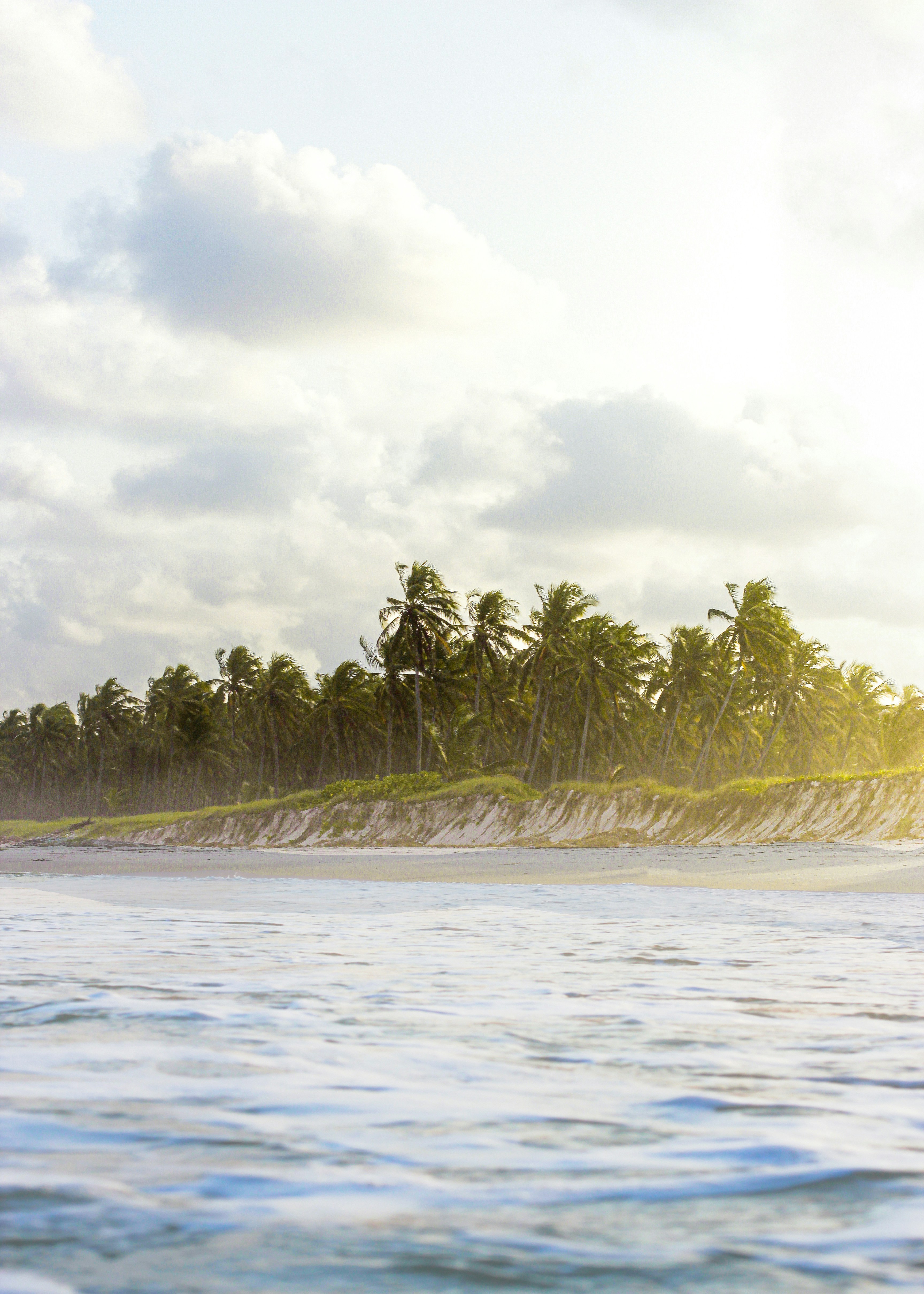 Practical Guide: Ordering and Eating Like a Tico