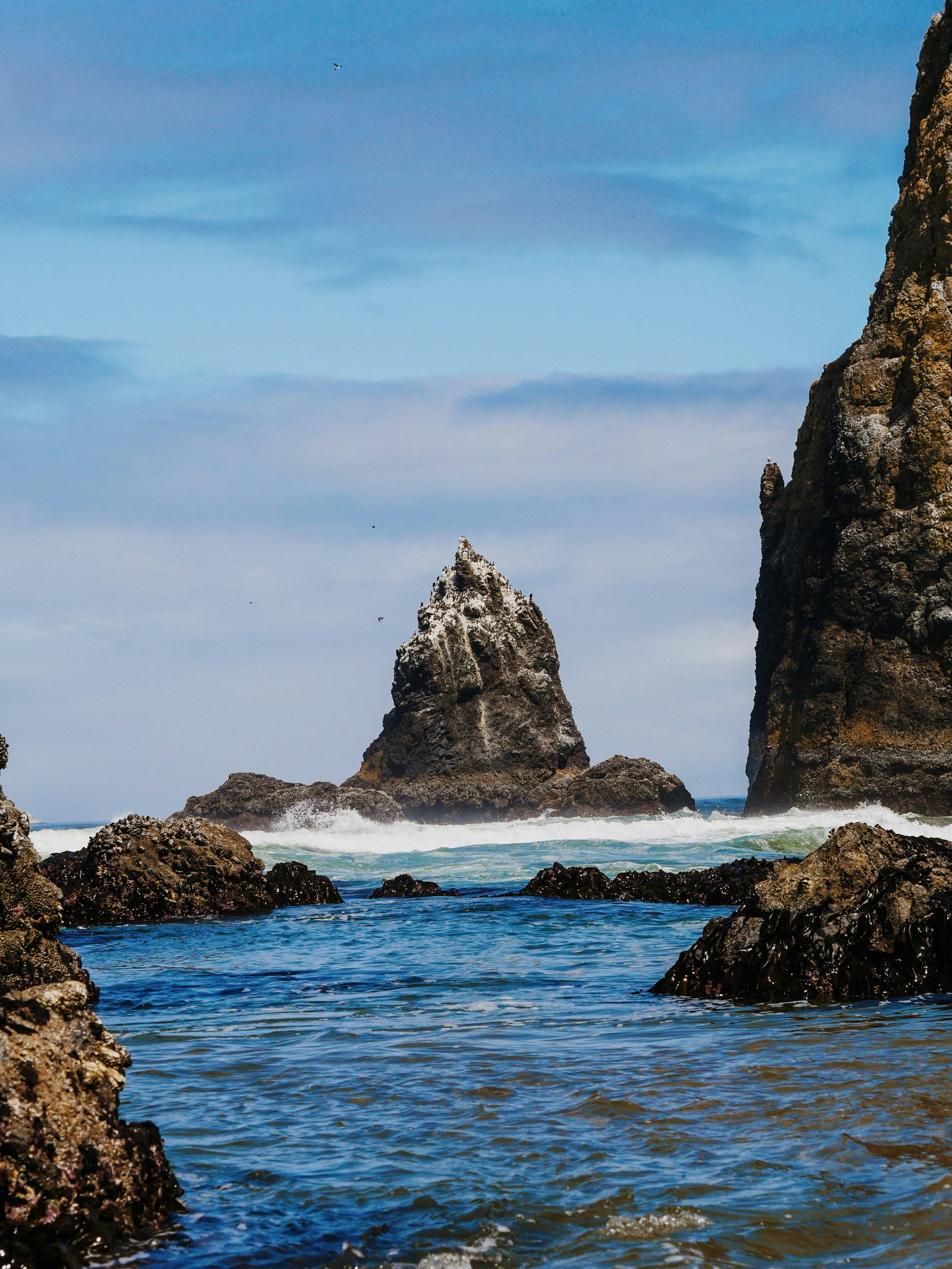 Photo by sophiadidonato