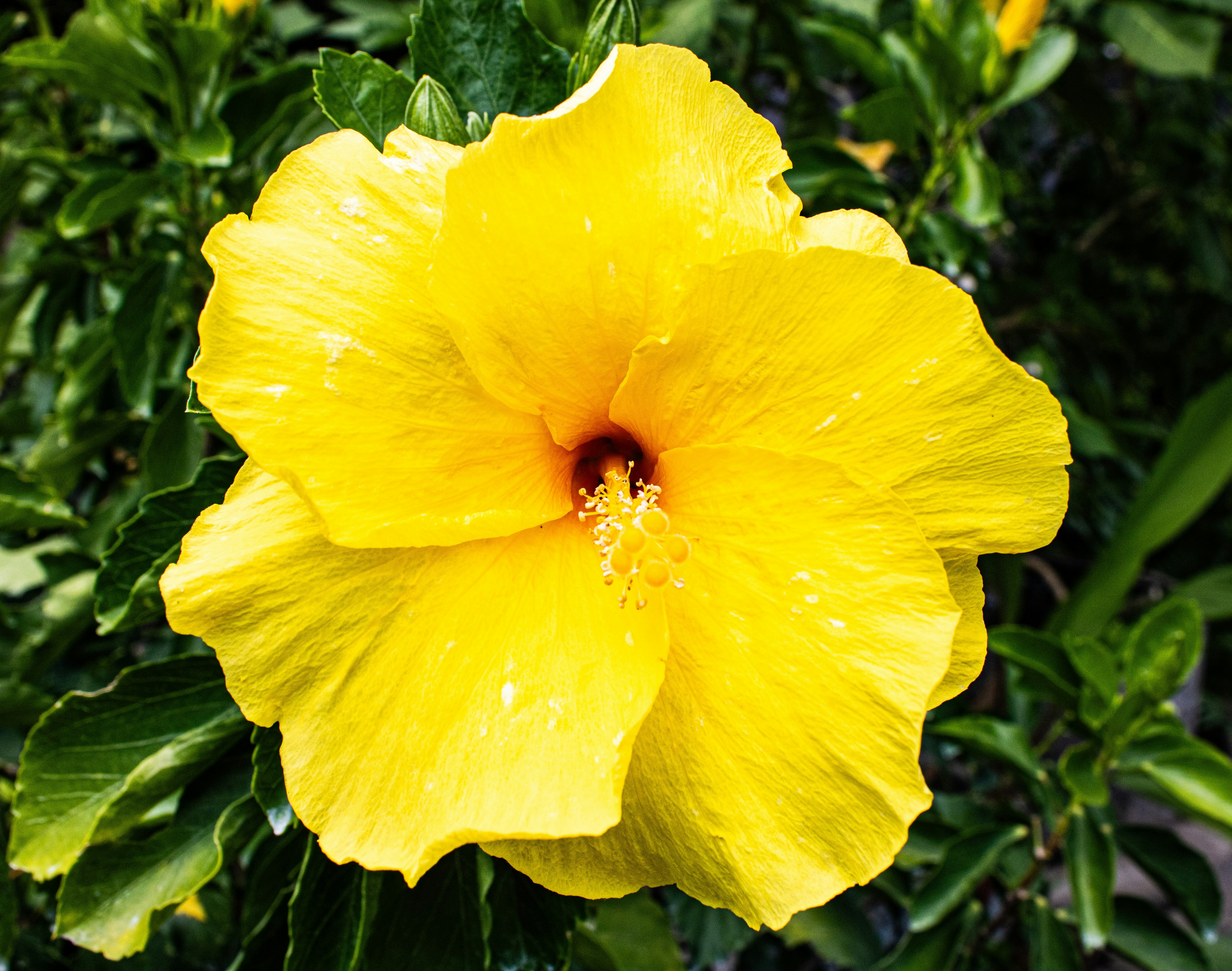 Photo by ronaldacrow