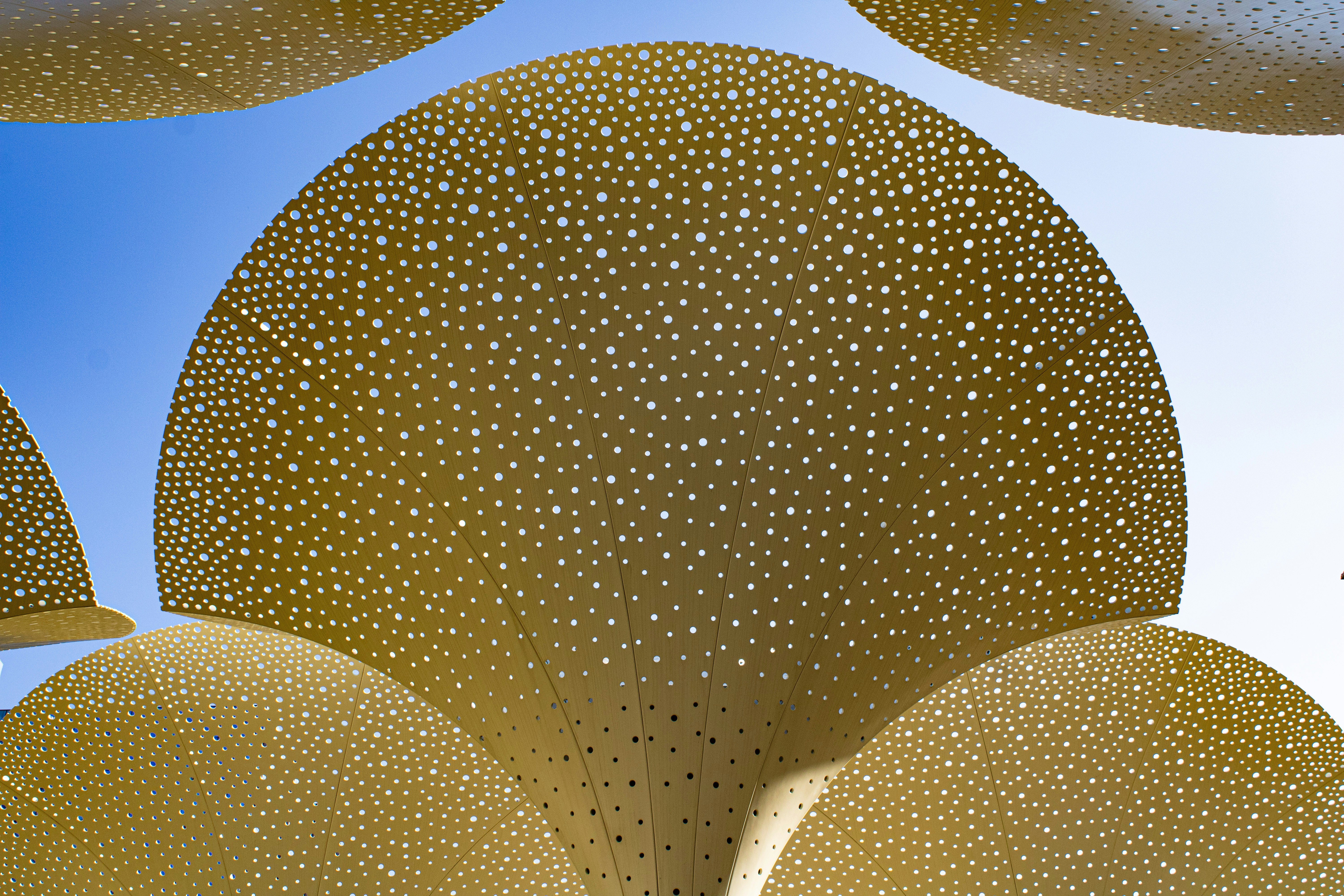 A group of umbrellas sitting on top of a sandy beach