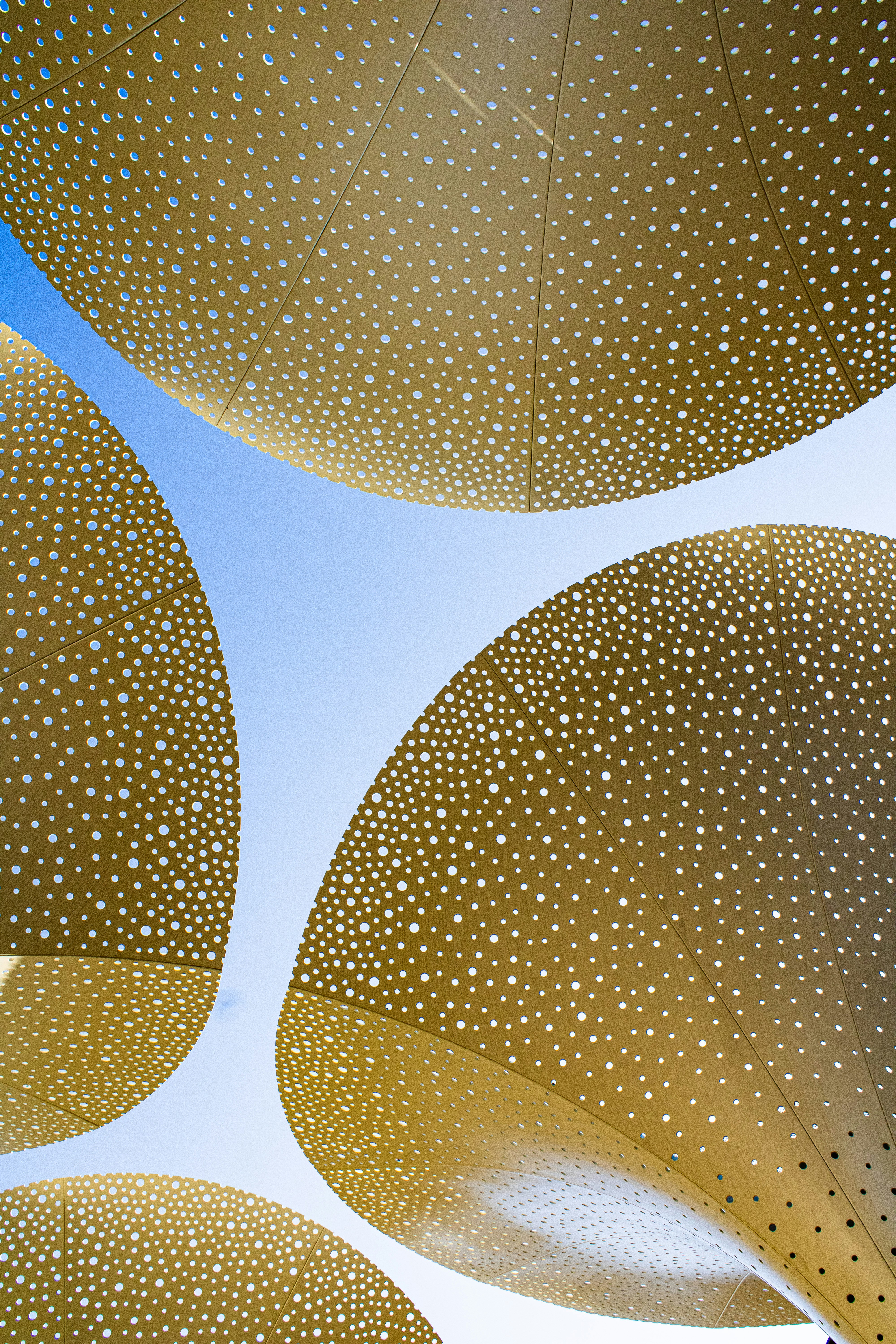 Photo by ronaldacrow