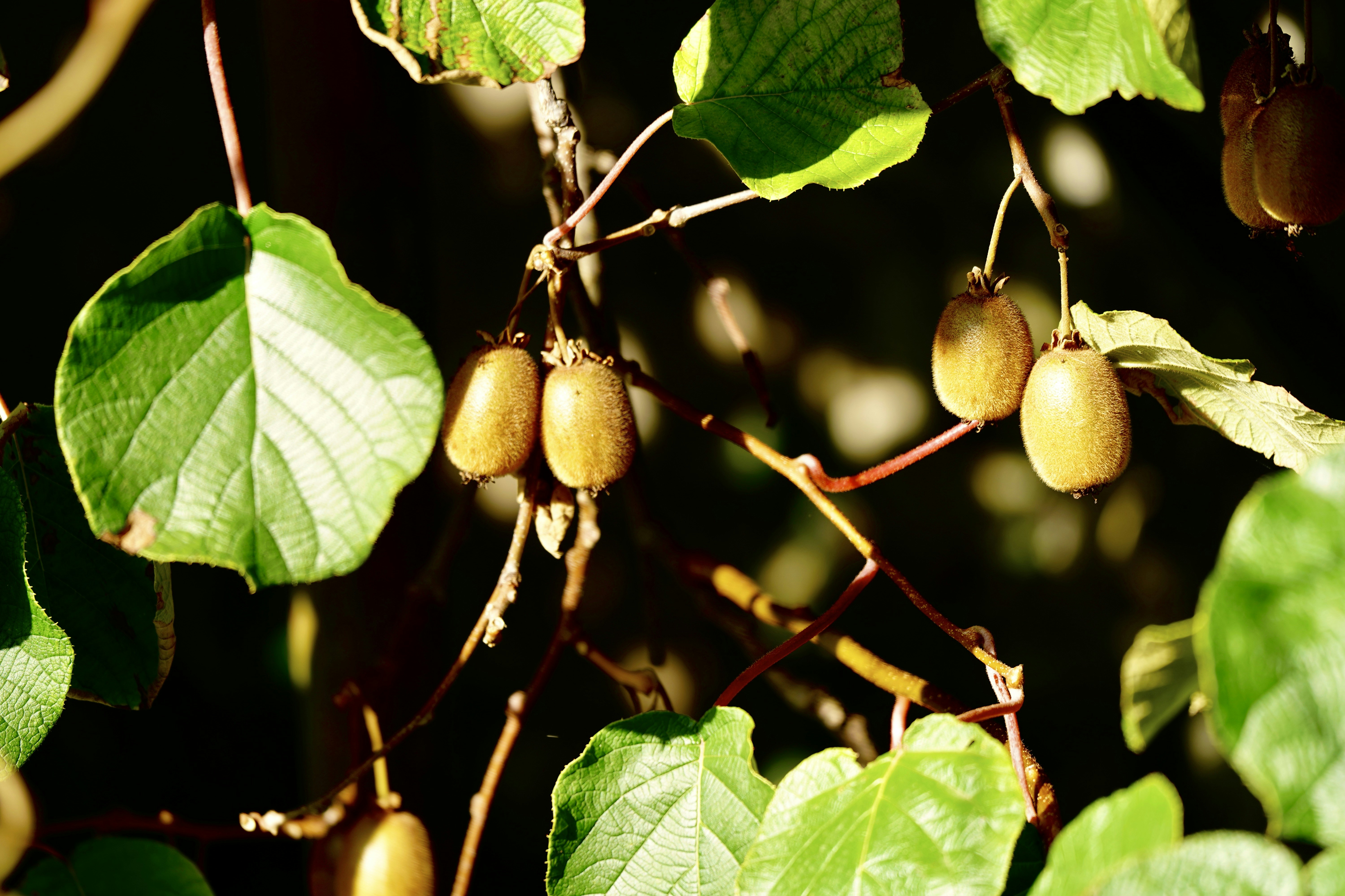 Photo by loloscott78