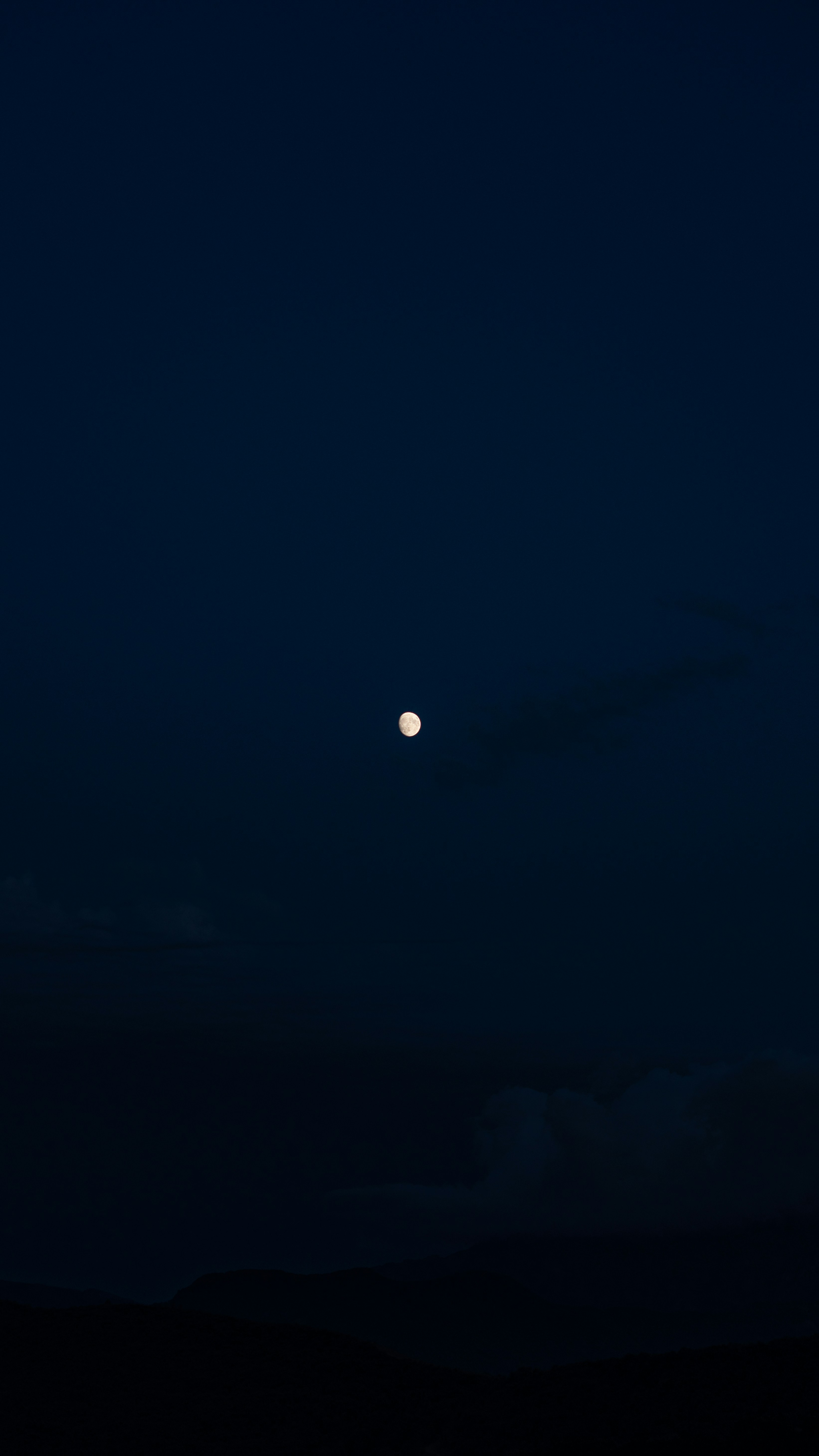 Photo by habibeskandari