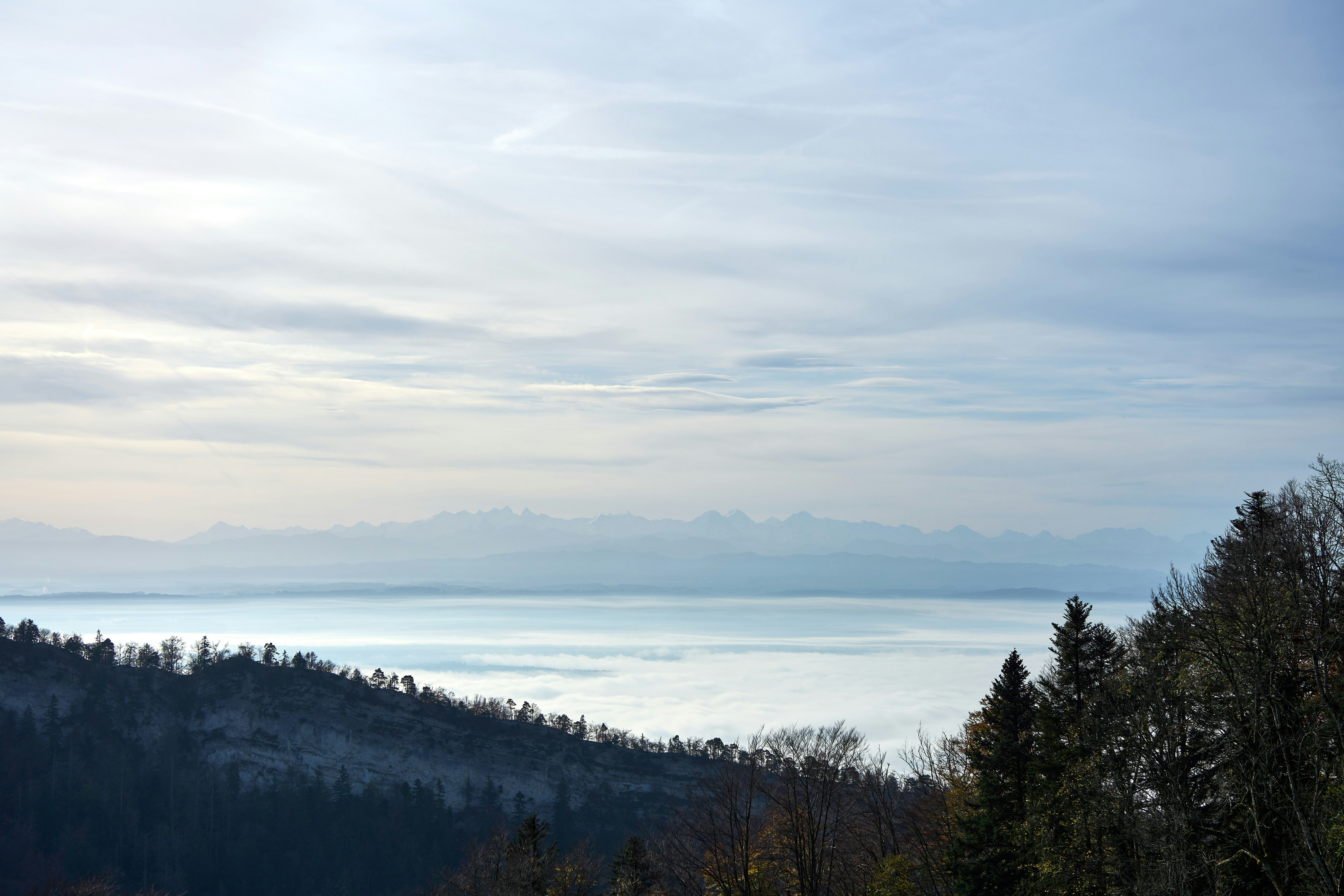 Photo by wolfgang_hasselmann