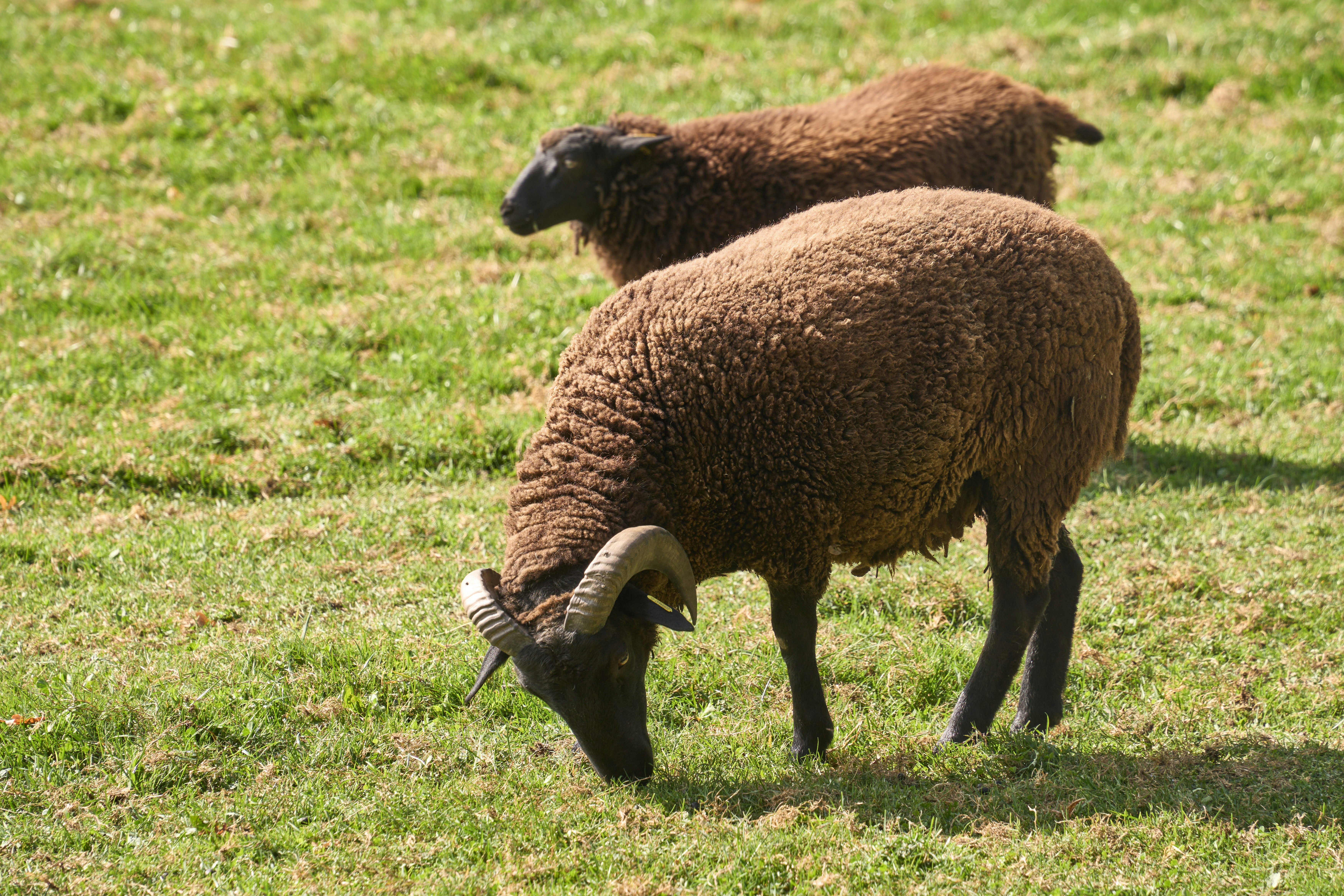 Photo by wolfgang_hasselmann