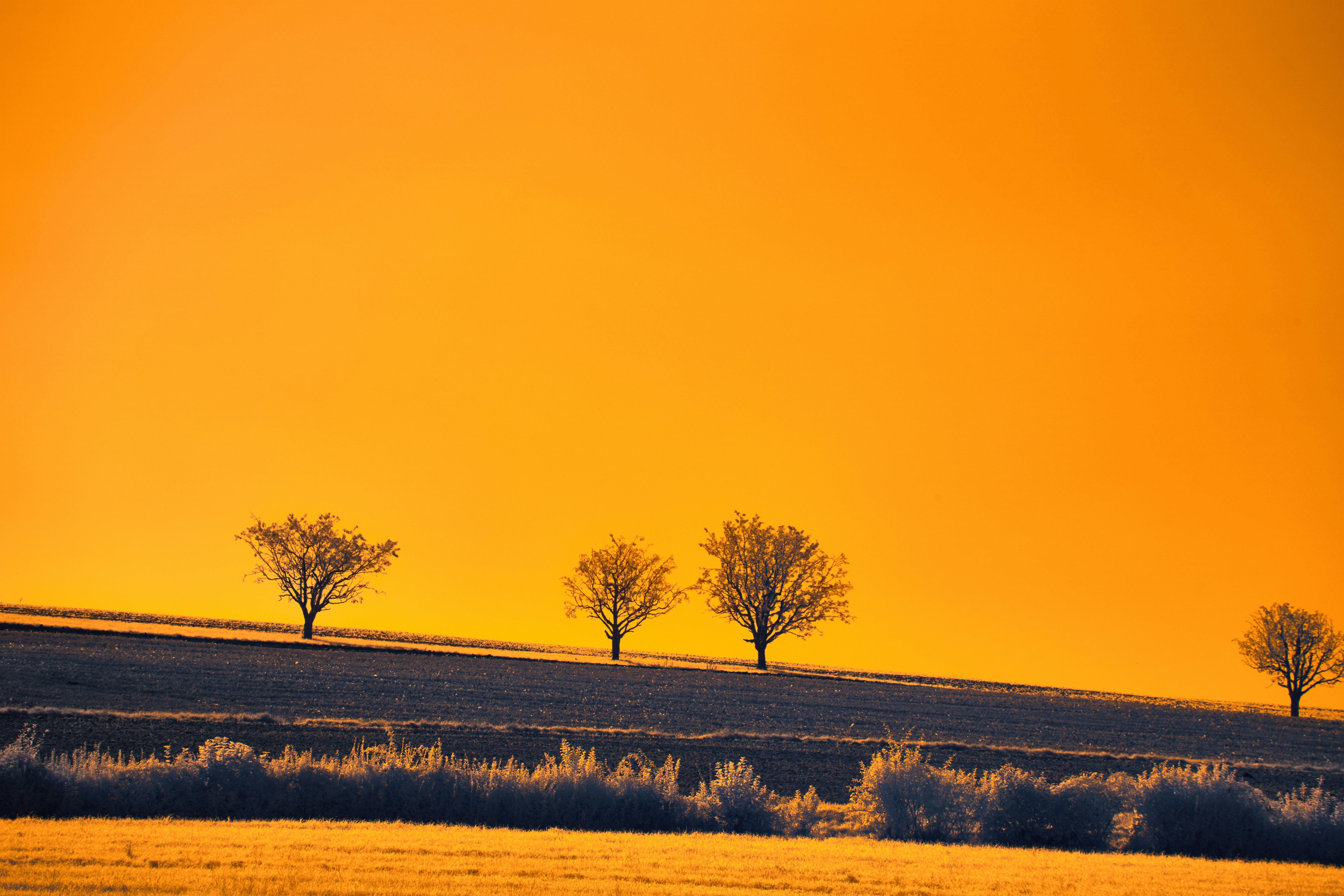 Photo by wolfgang_hasselmann