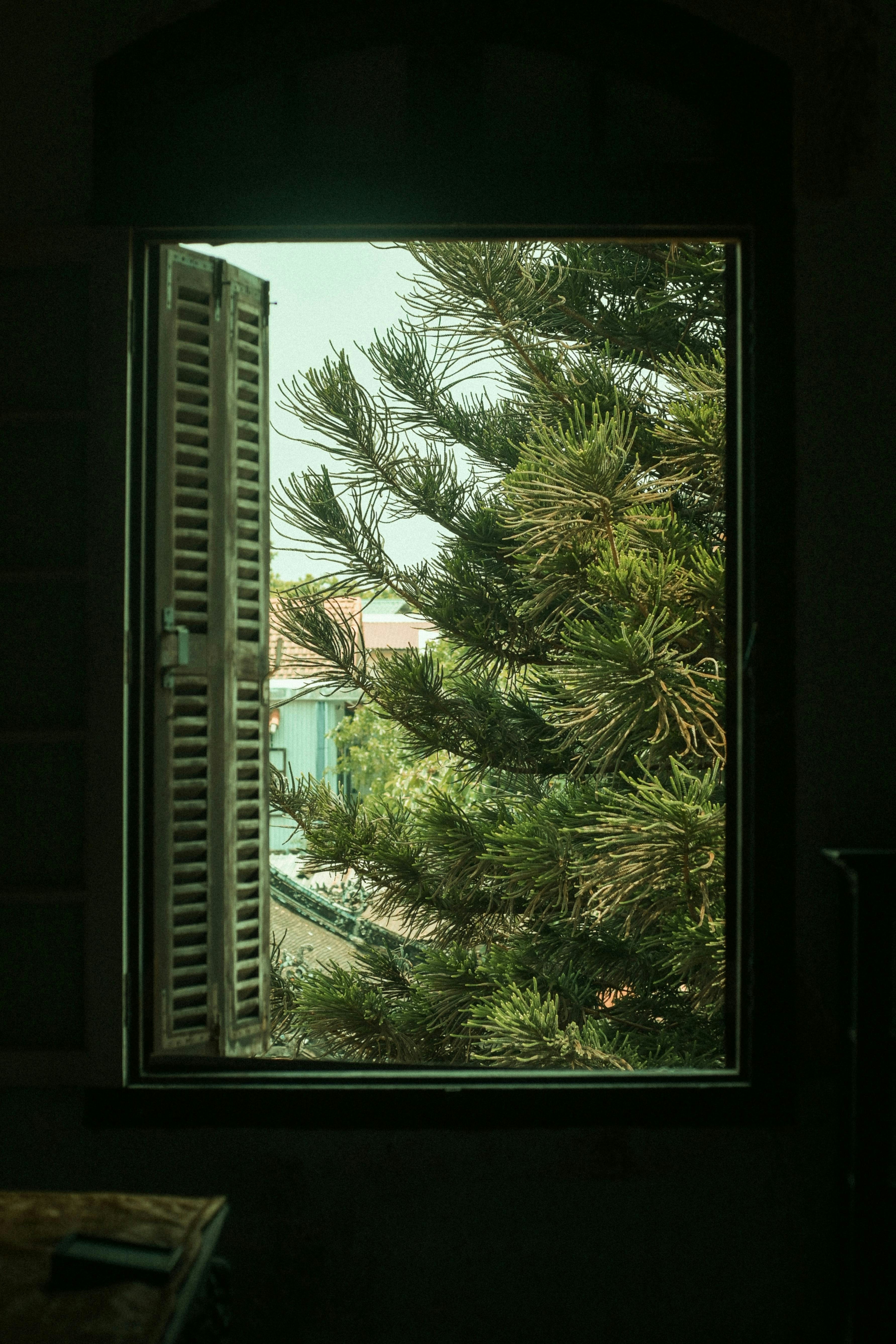 Photo by pnt
