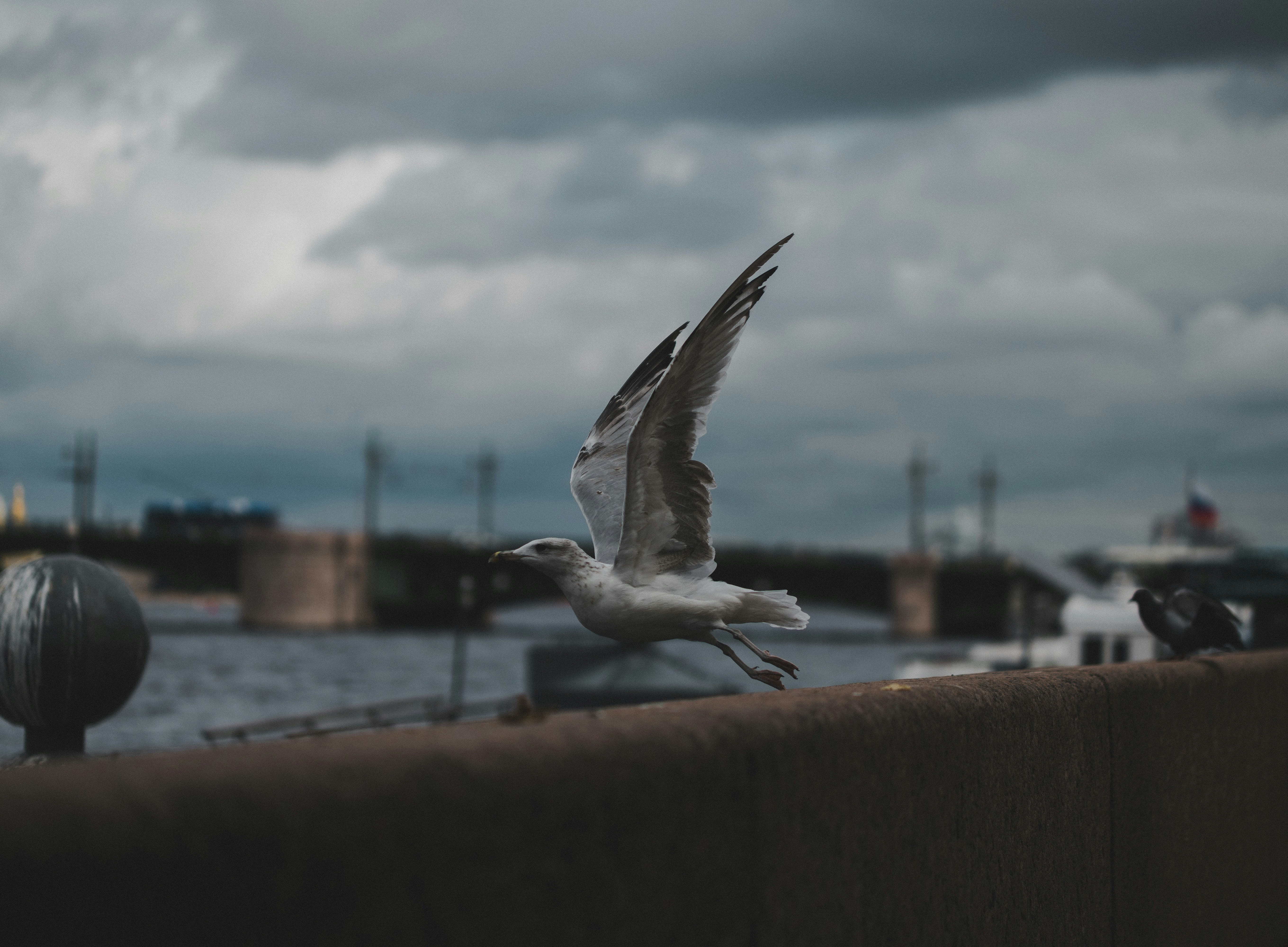 Photo by onepilot