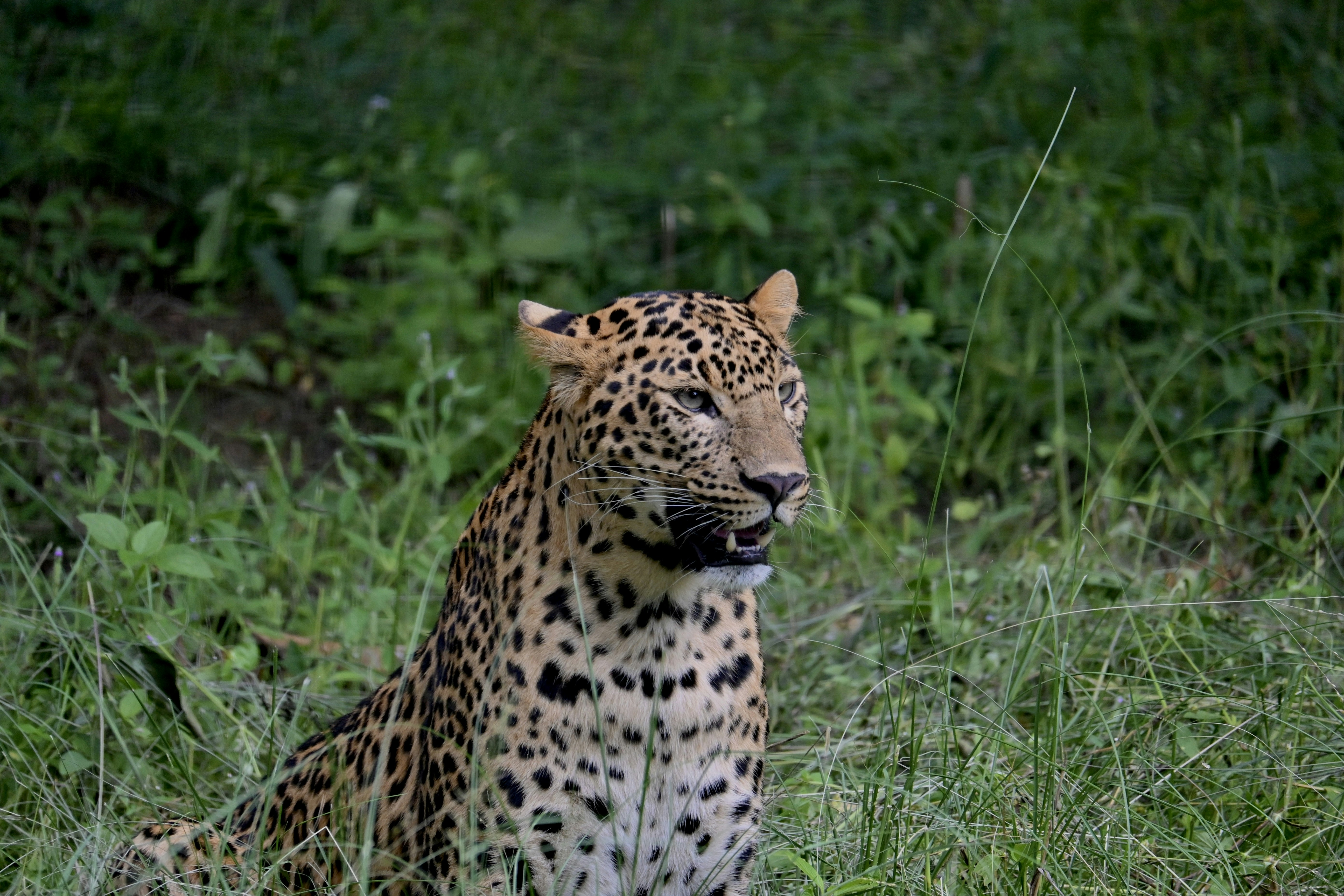 Photo by praswinprakashan