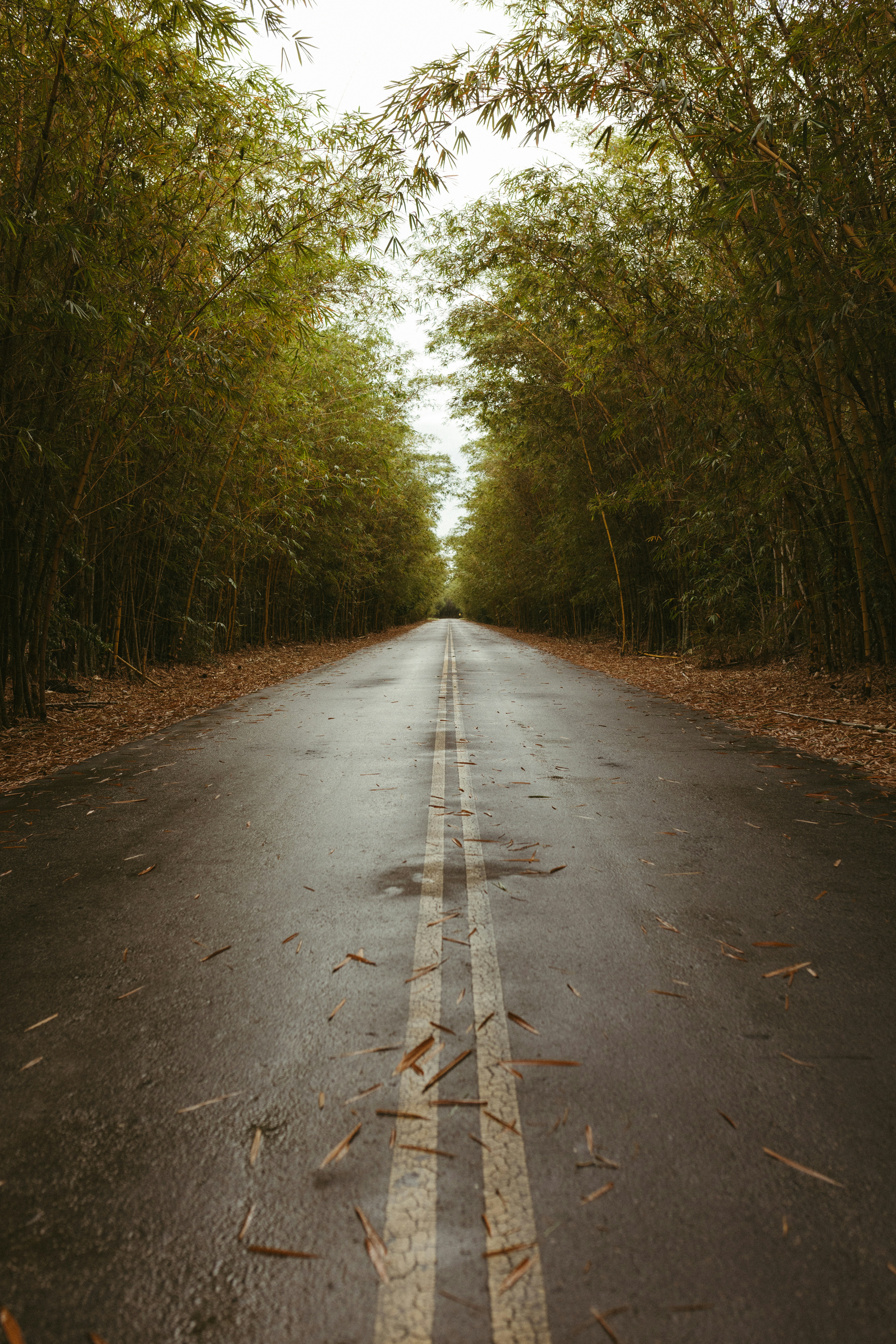 Photo by jonathanborba